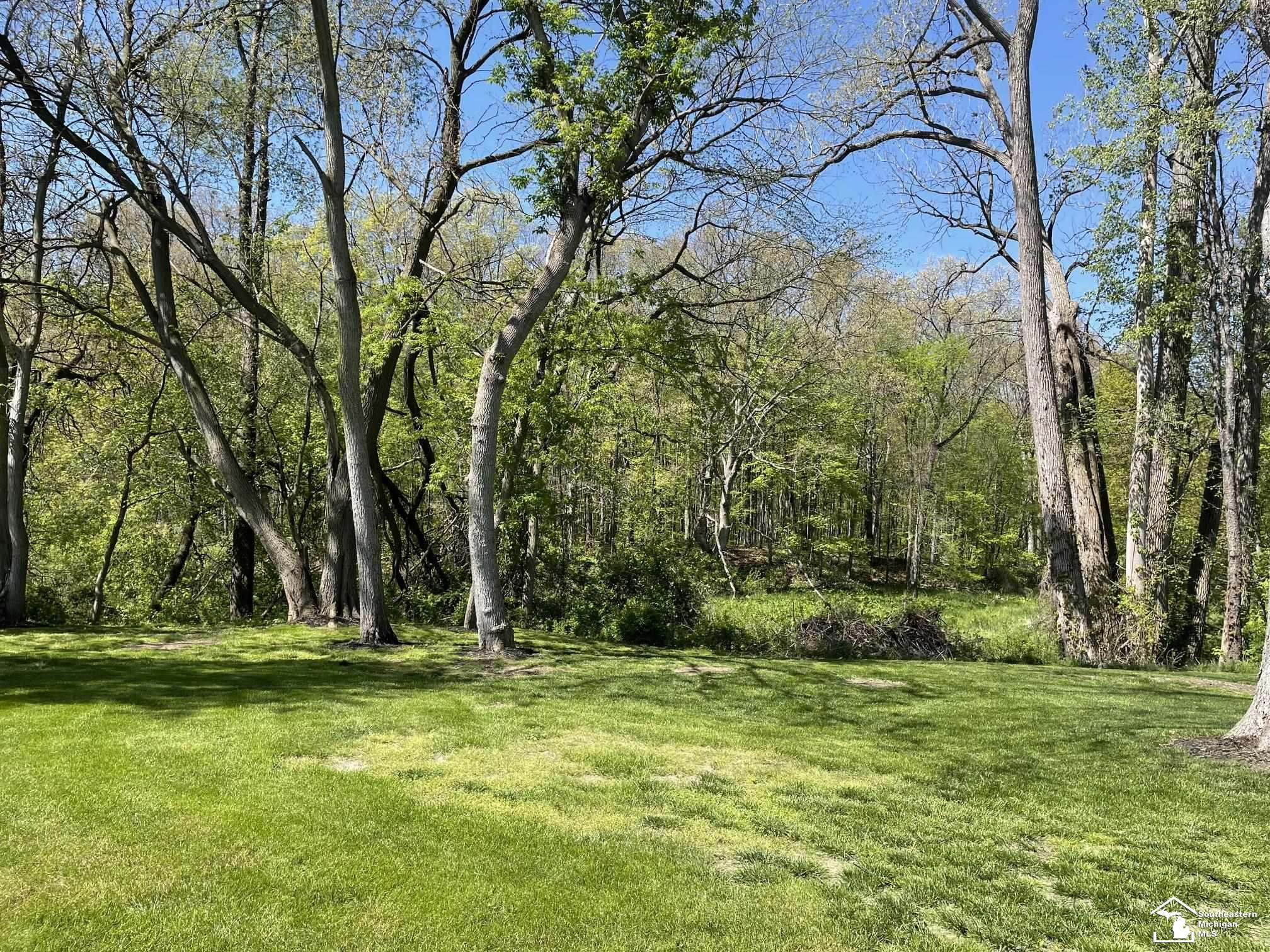 7815 Summerfield Road, Lambertville, MI 48144 — Photo 9