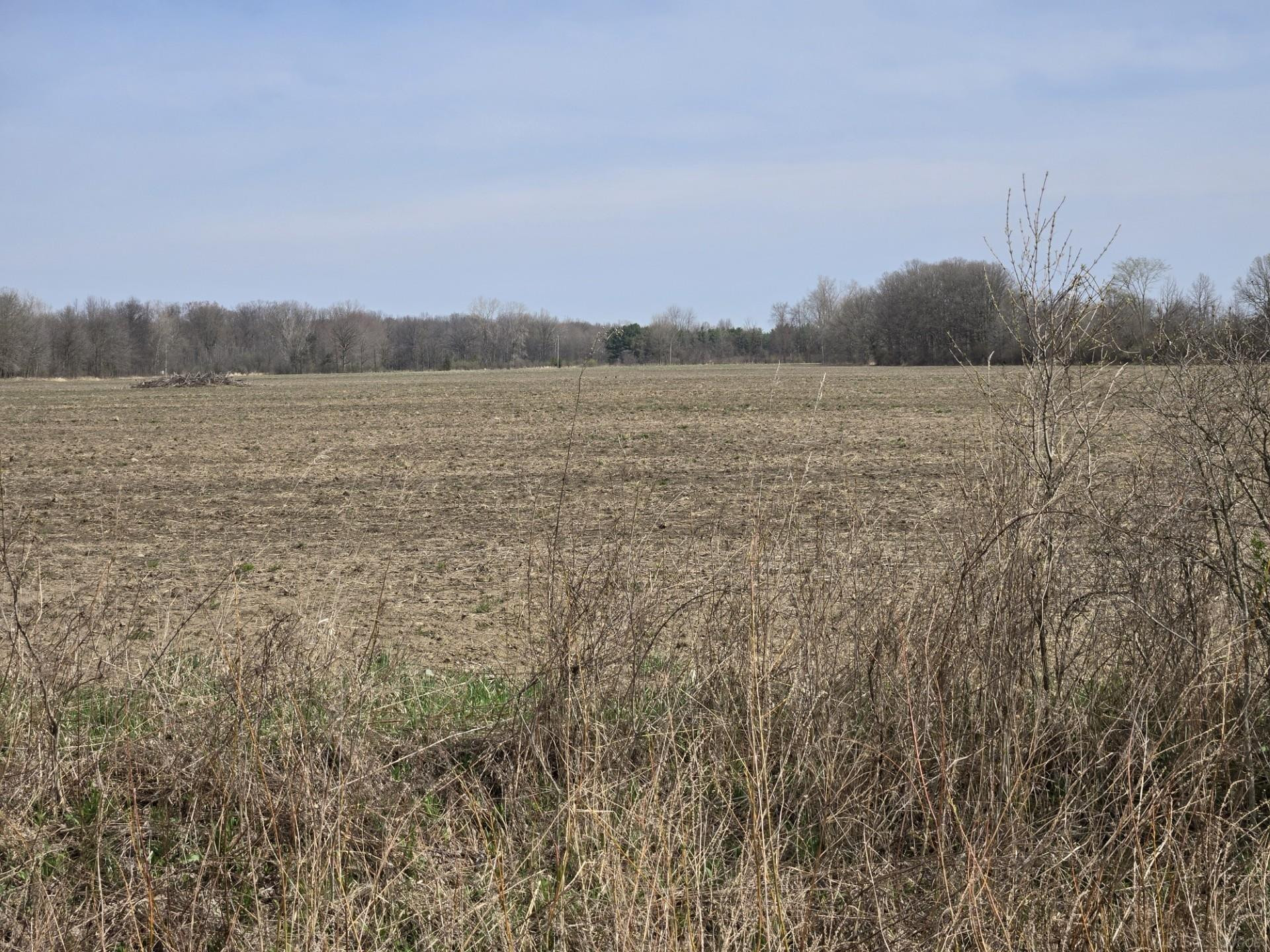 0 Weber (Lot A) Road, MI — Photo 2
