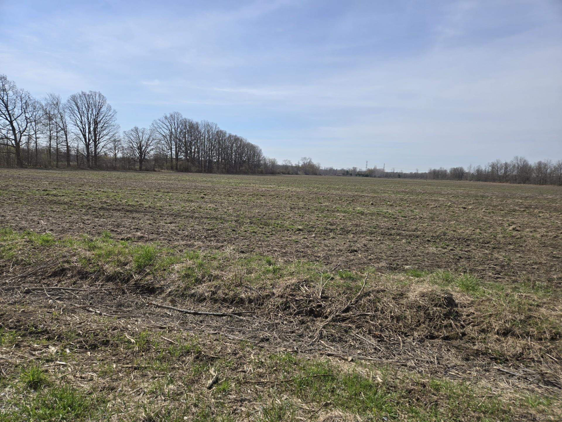 0 Weber (Lot A) Road, MI — Photo 3