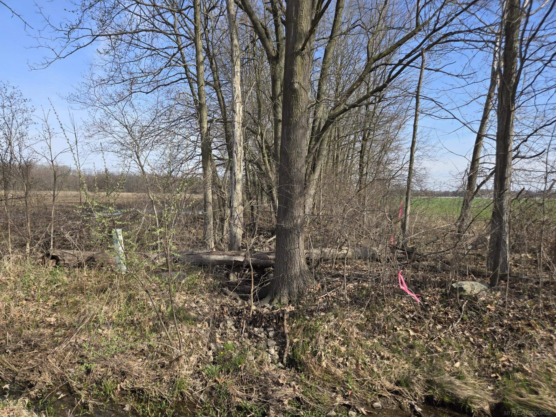 0 Weber (Lot A) Road, MI — Photo 4