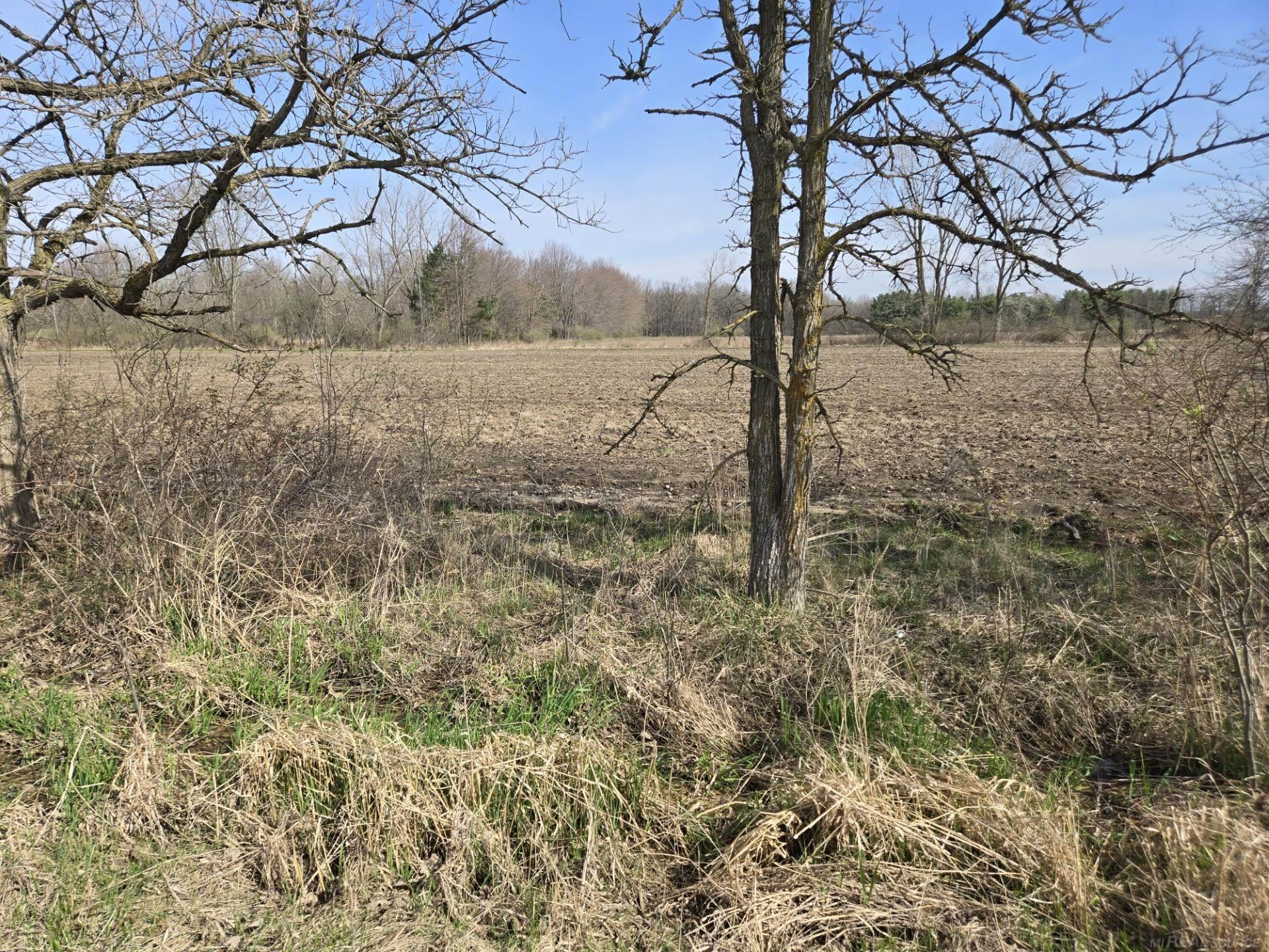 0 Weber (Lot A) Road, MI — Photo 7