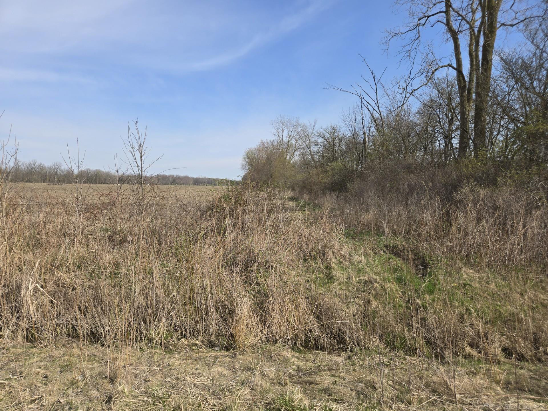 0 Weber (Lot A) Road, MI — Photo 9