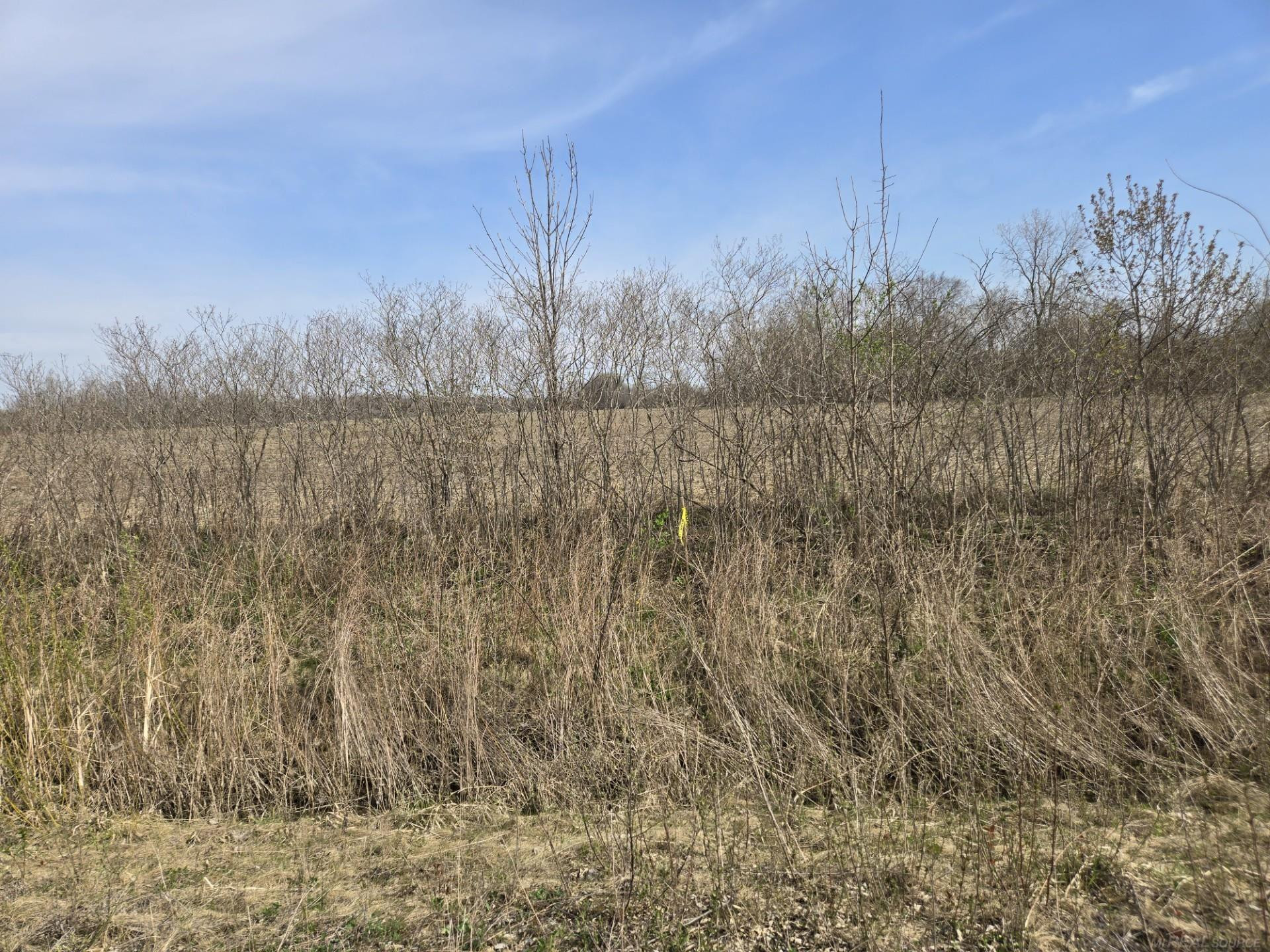 0 Weber (Lot A) Road, MI — Photo 11