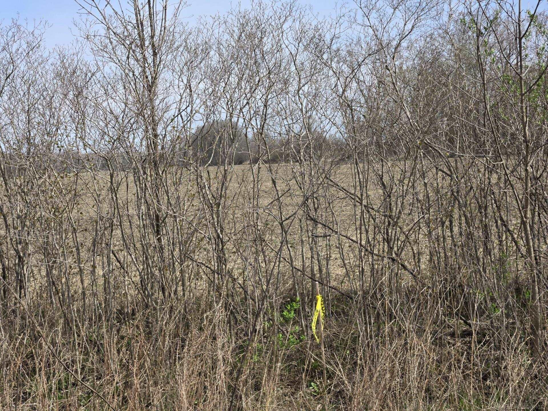 0 Weber (Lot A) Road, MI — Photo 12