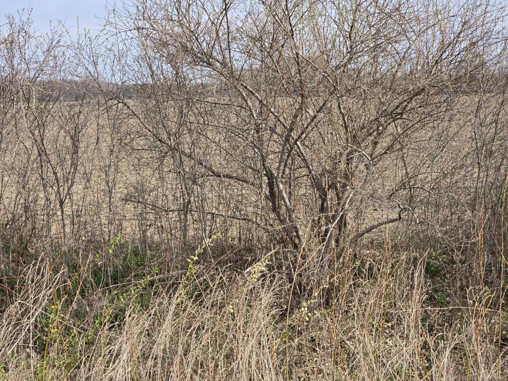 0 Weber (Lot A) Road, MI — Photo 13
