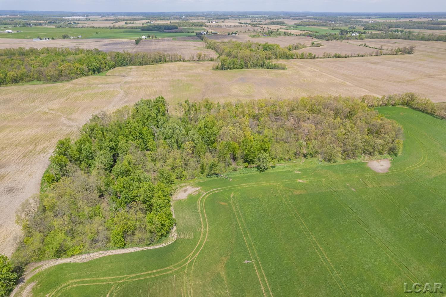 16580 W Ridgeville Road, Waldron, MI 49288 — Photo 57