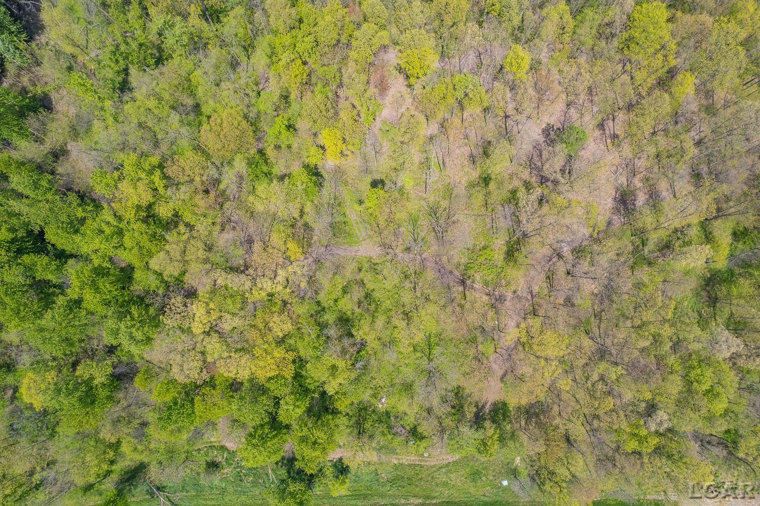 16580 W Ridgeville Road, Waldron, MI 49288 — Photo 58
