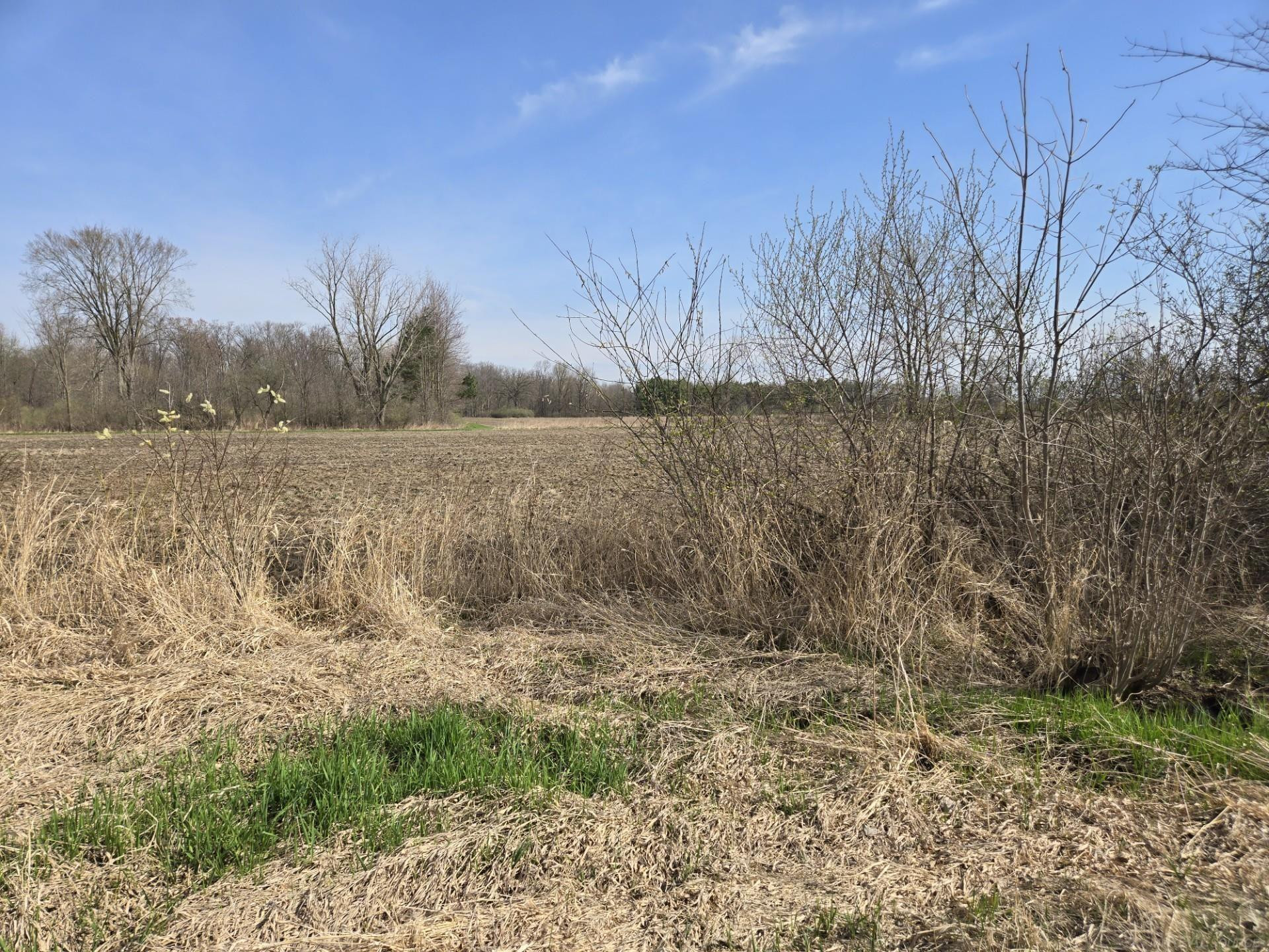 0 Weber (Lot B) Road, MI — Photo 8