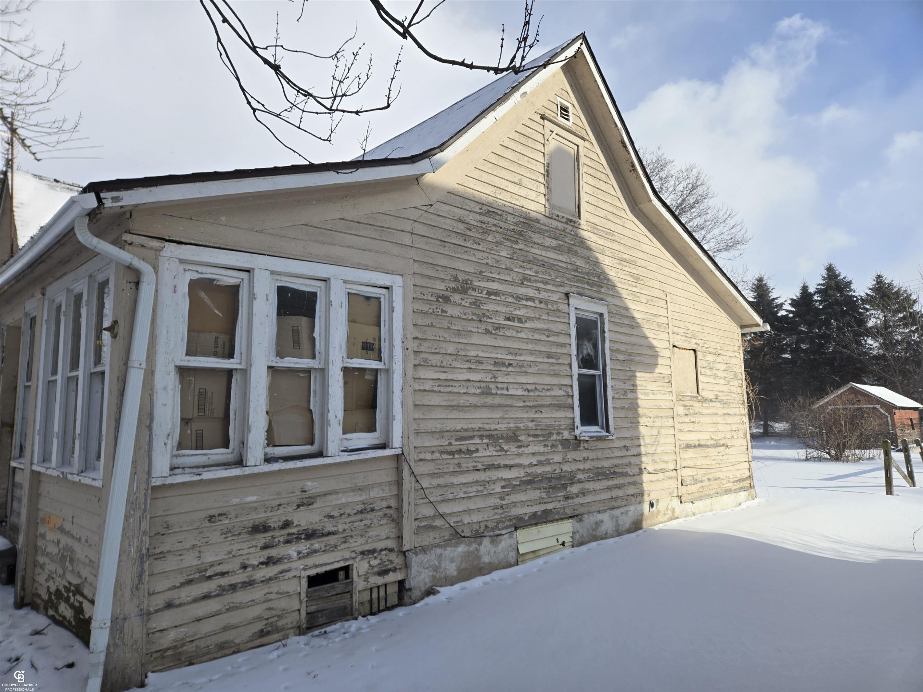 204 Mary Street, Yale, MI 48097 — Photo 4