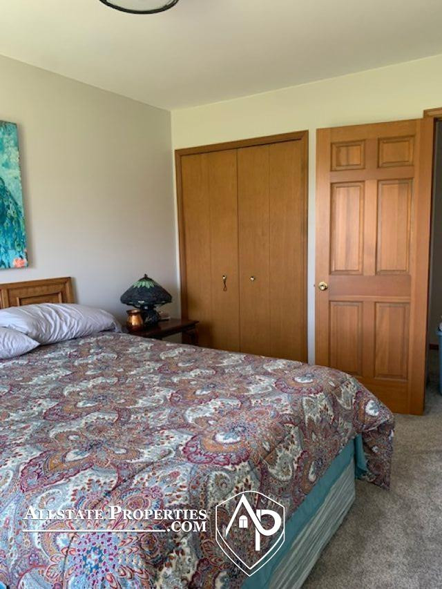 12301 S New Lothrop Road, Byron, MI 48418 — Photo 13