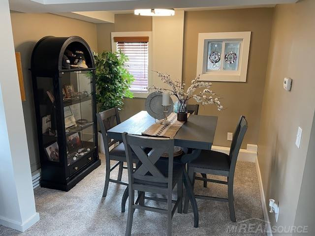 29445 Private Drive, MI 48047 — Photo 23