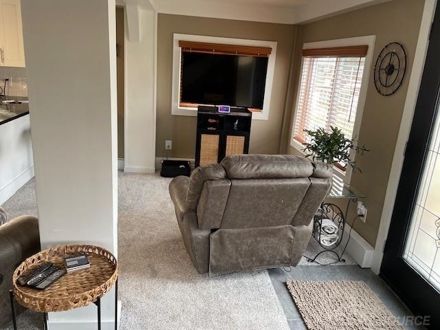 29445 Private Drive, MI 48047 — Photo 29