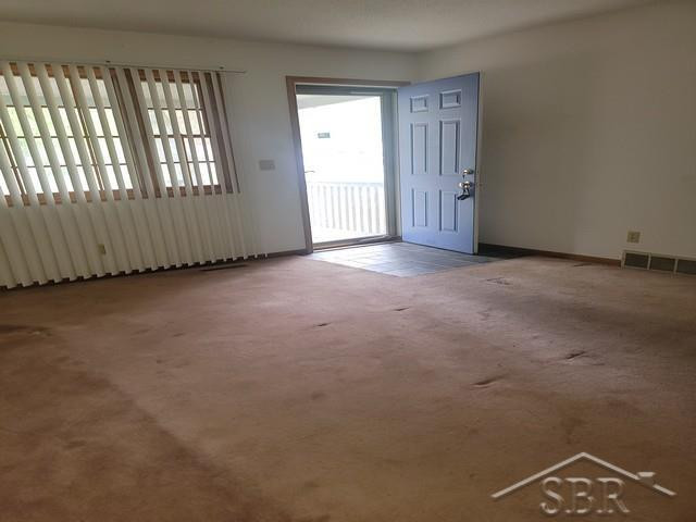 3861 Jim Drive, Bridgeport, MI 48722 — Photo 17