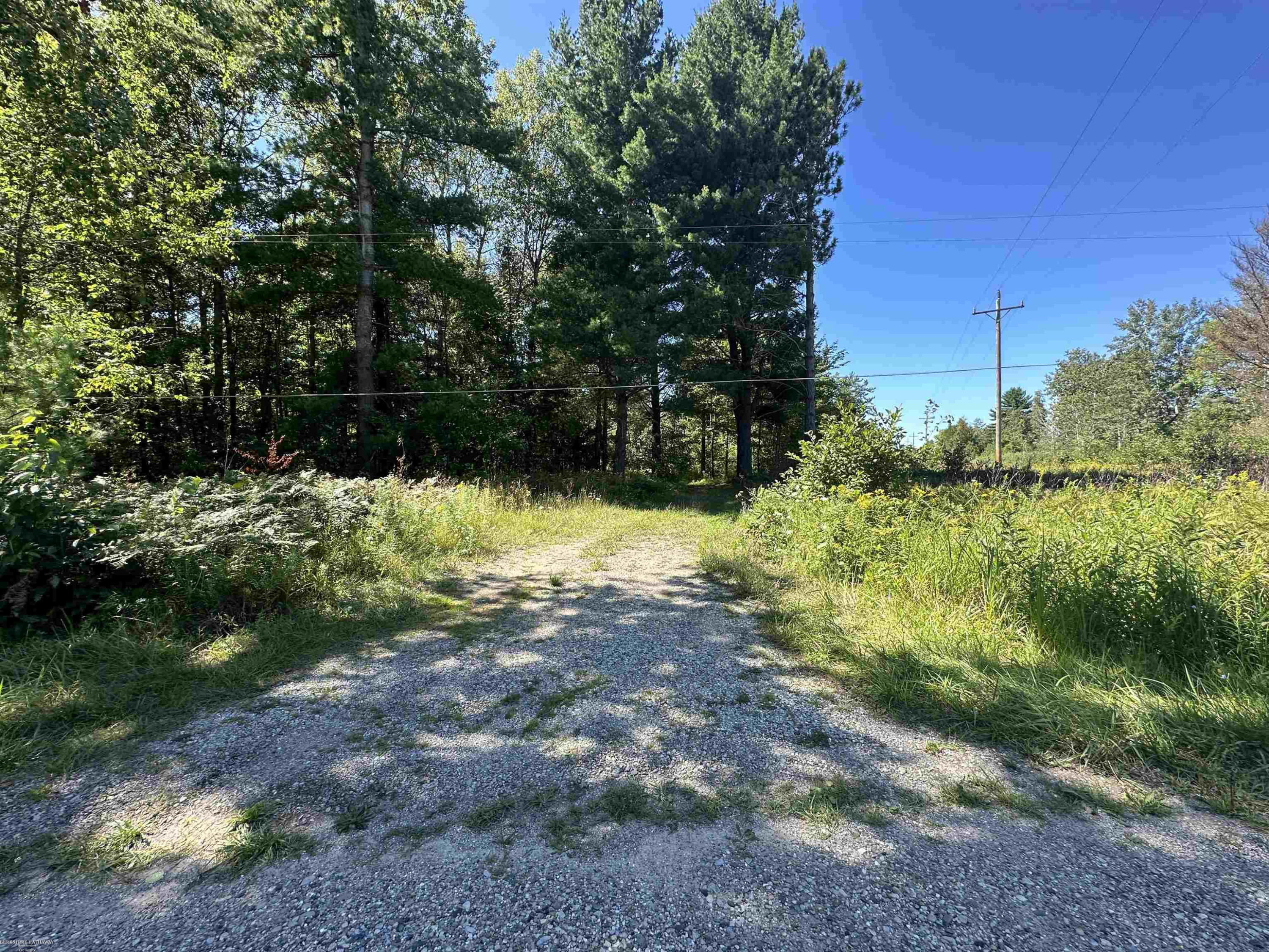 0 Long Lake Road, Hale, MI 48739