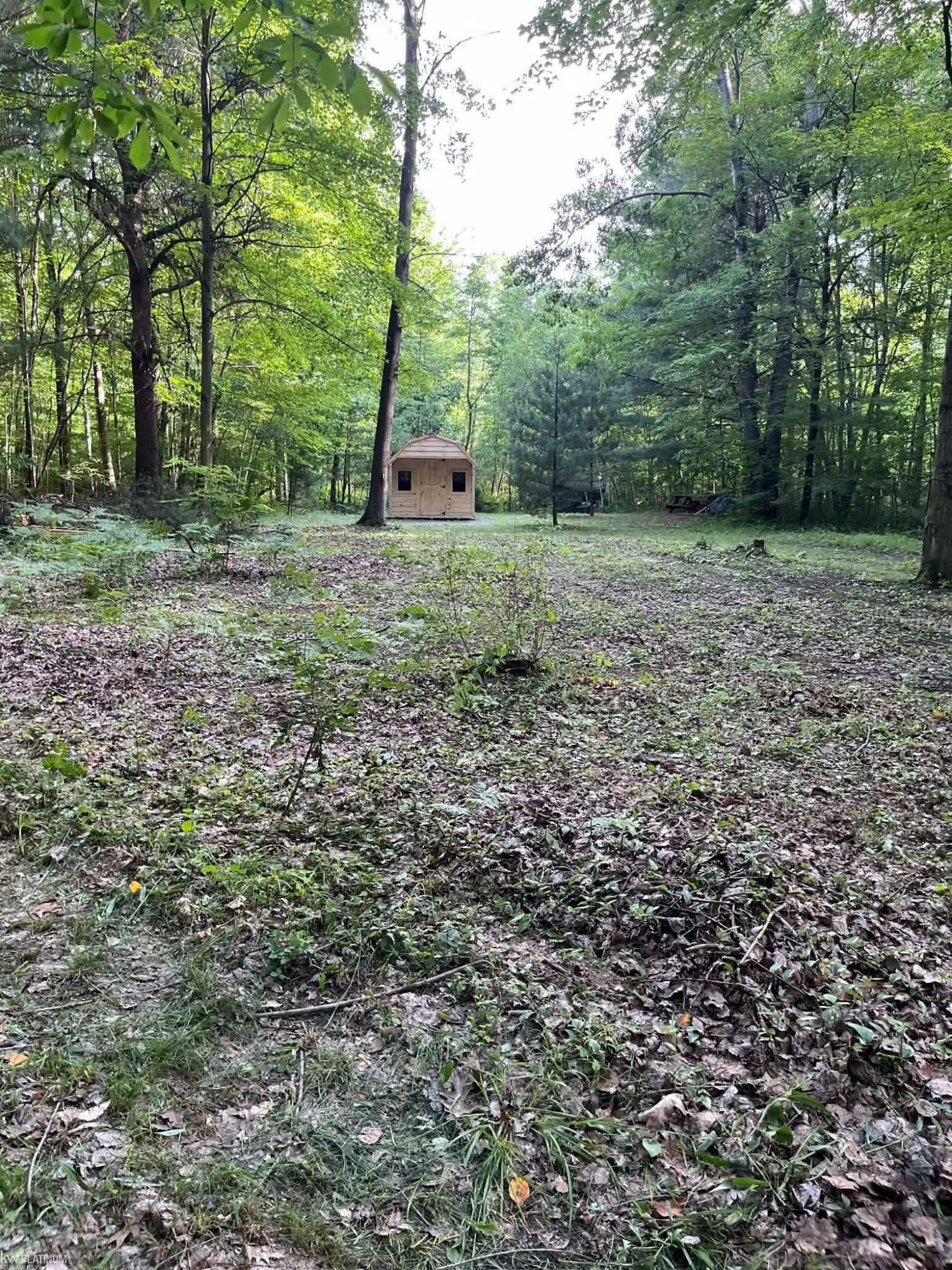 4123 Waterman Road, Vassar, MI 48768 — Photo 5