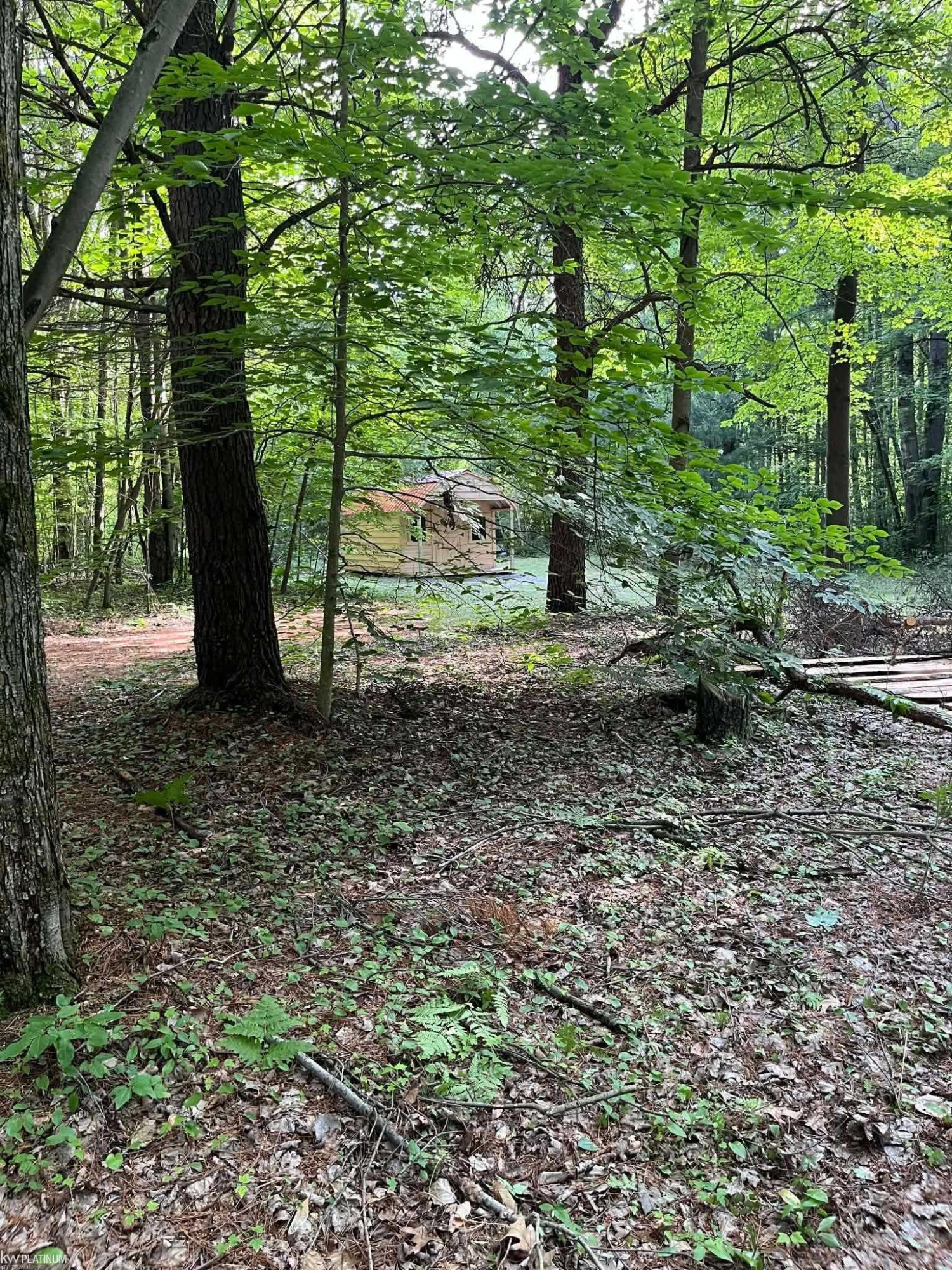 4123 Waterman Road, Vassar, MI 48768 — Photo 24