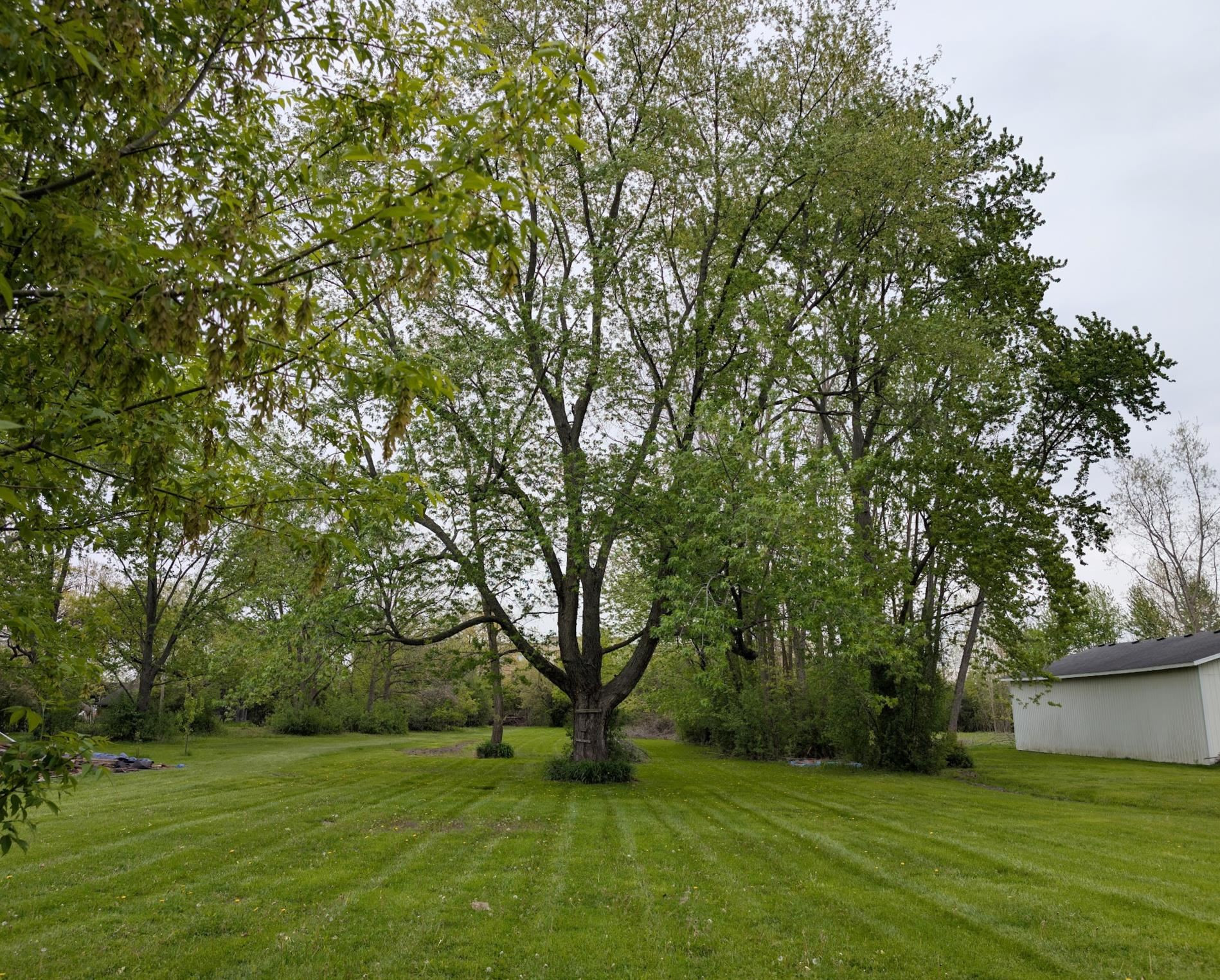 6109 Wendt Drive, Flint, MI 48507 — Photo 17