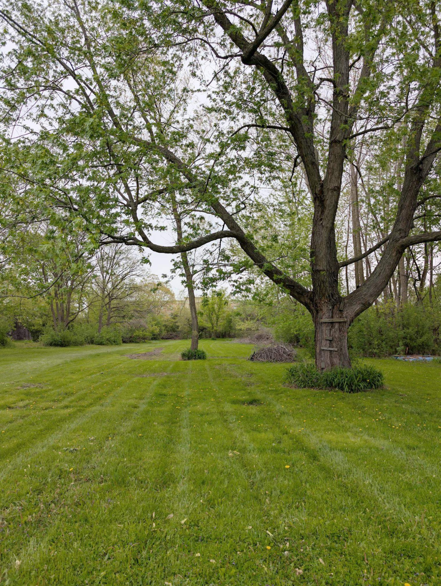 6109 Wendt Drive, Flint, MI 48507 — Photo 18