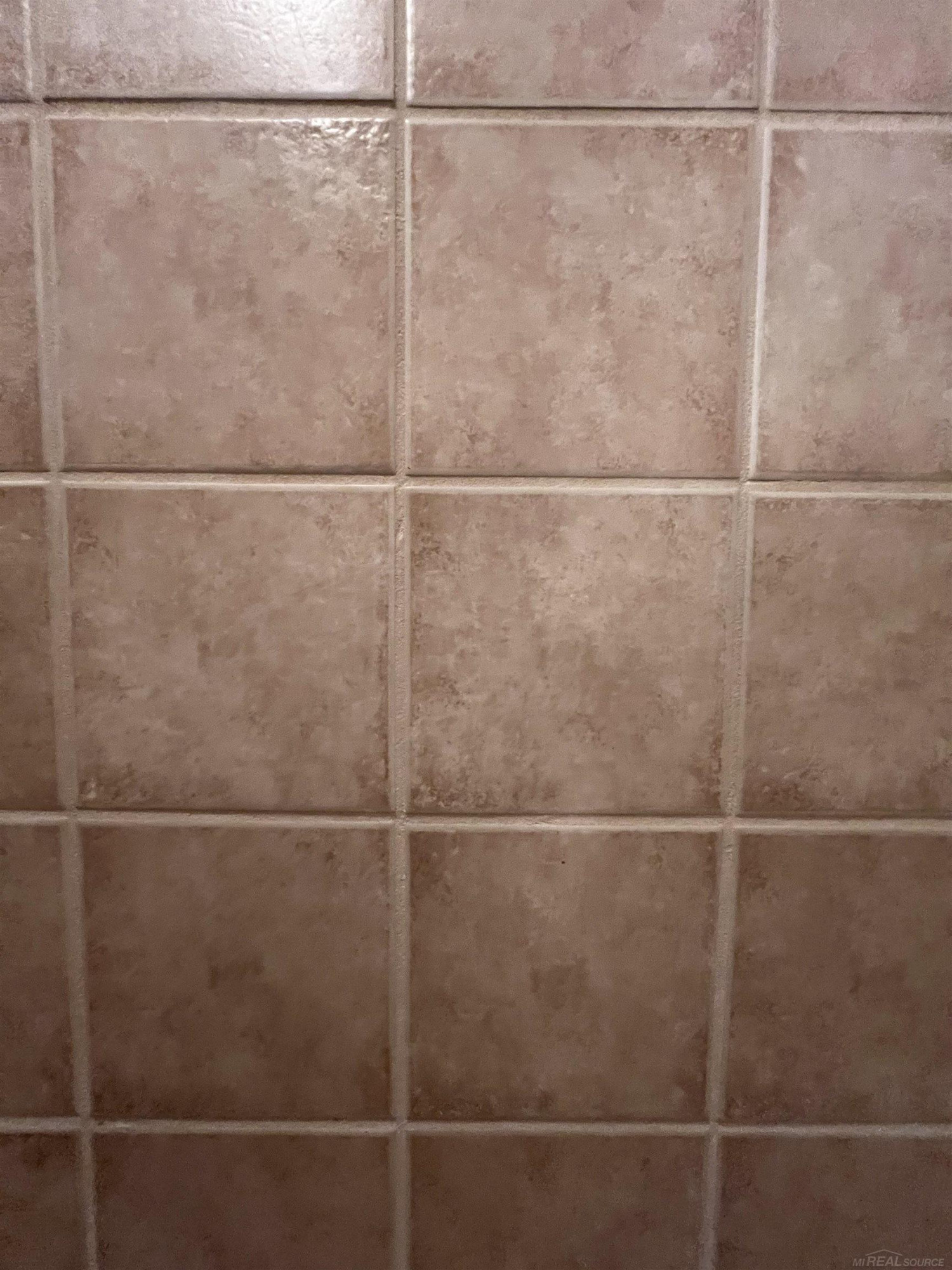 785 W Snowbird Circle, 19, MI 48079 — Photo 33