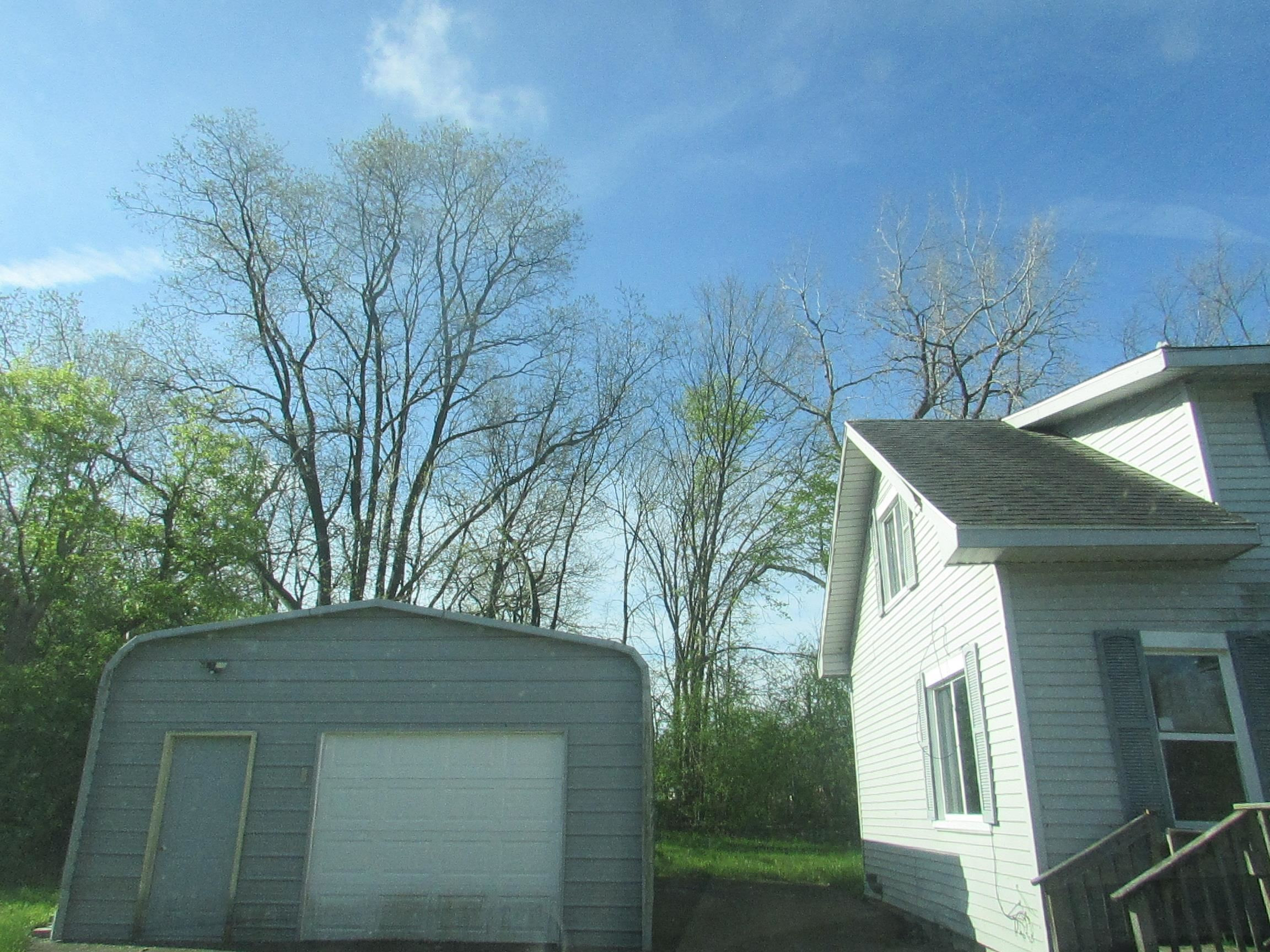 1150 Temple Avenue, Mount Morris, MI 48458 — Photo 4