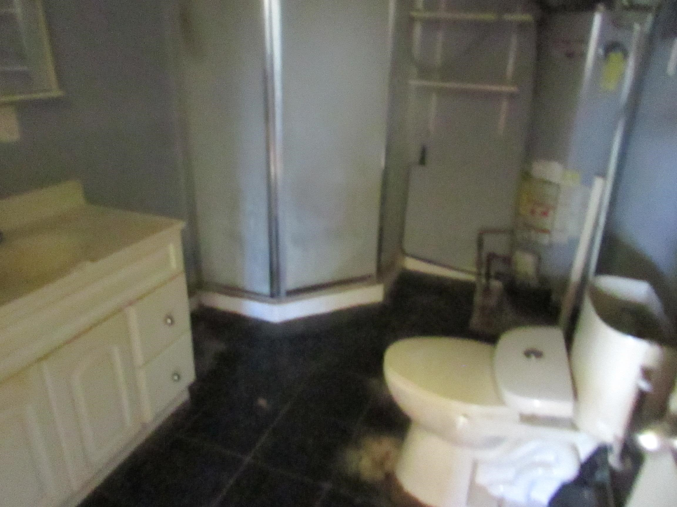 1150 Temple Avenue, Mount Morris, MI 48458 — Photo 11