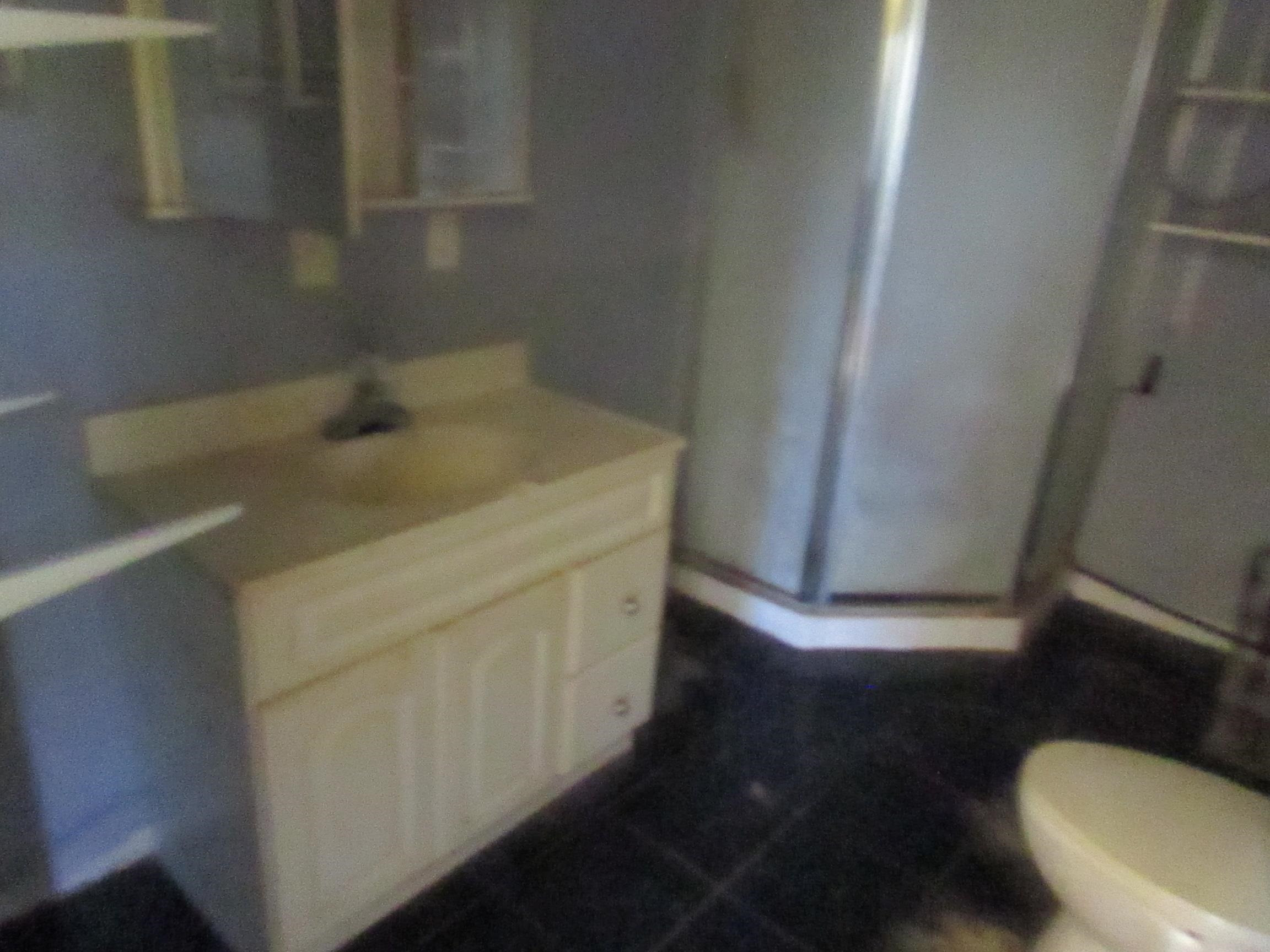 1150 Temple Avenue, Mount Morris, MI 48458 — Photo 12