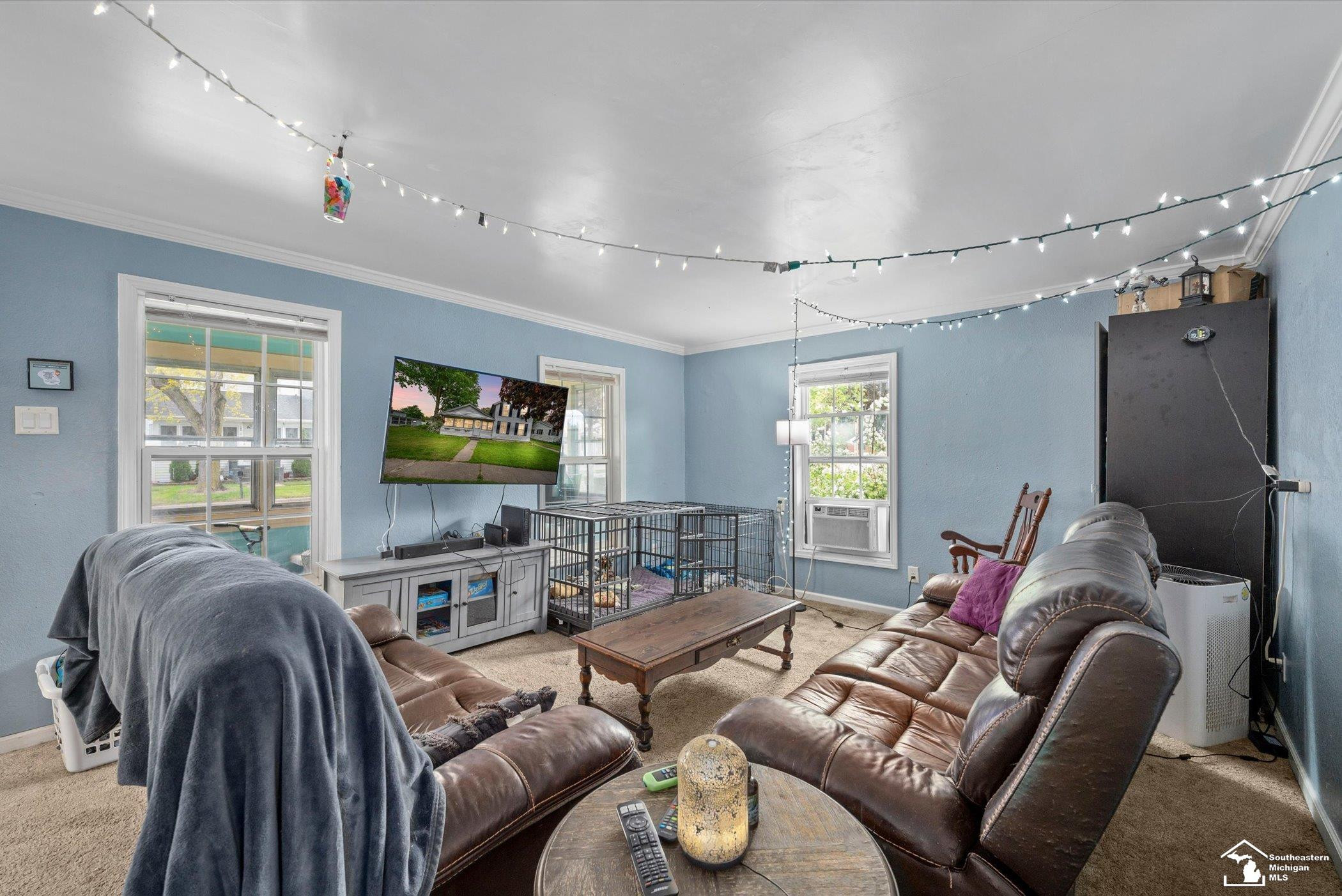 137 Raisin Street, Deerfield, MI 49238 — Photo 8
