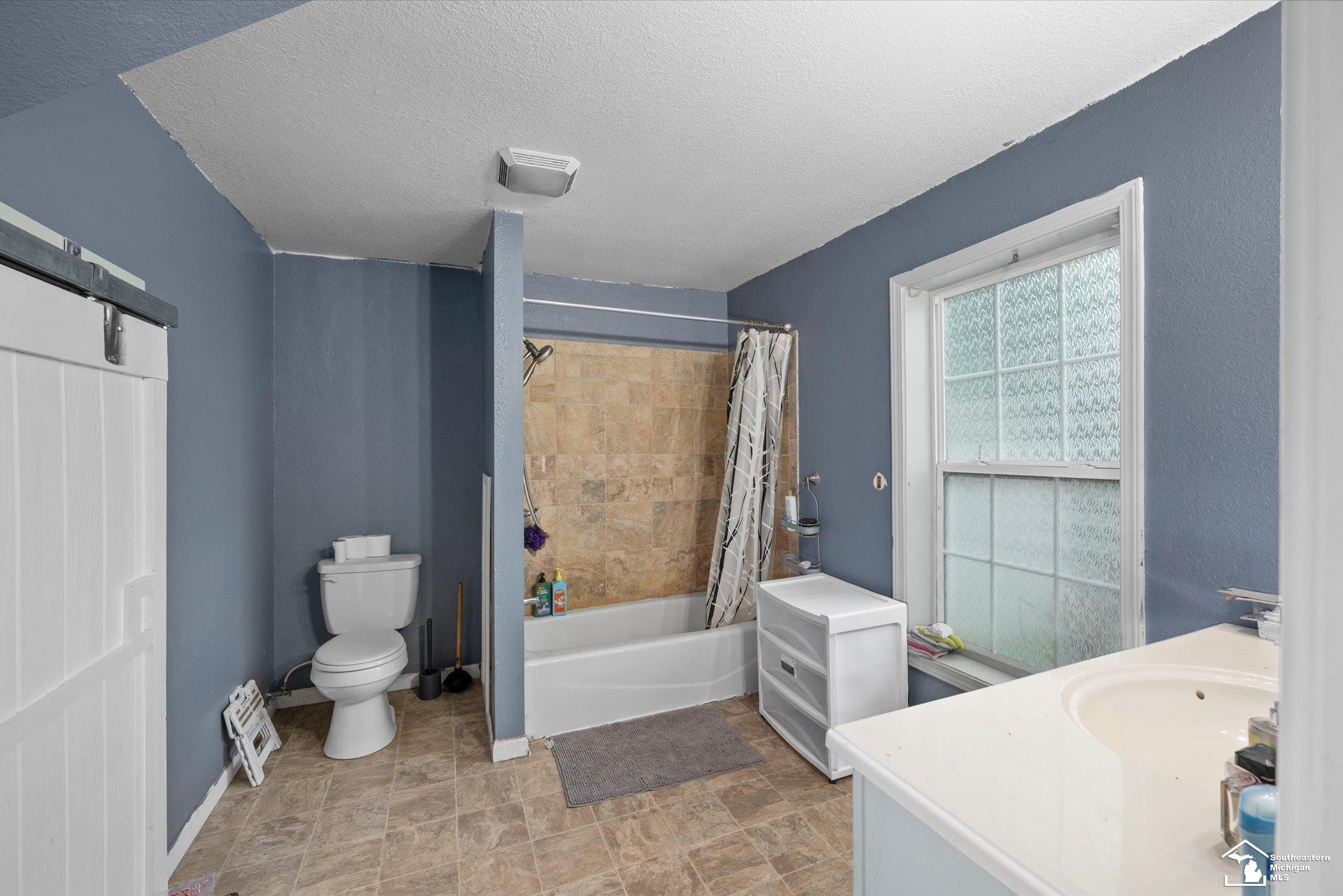 137 Raisin Street, Deerfield, MI 49238 — Photo 12