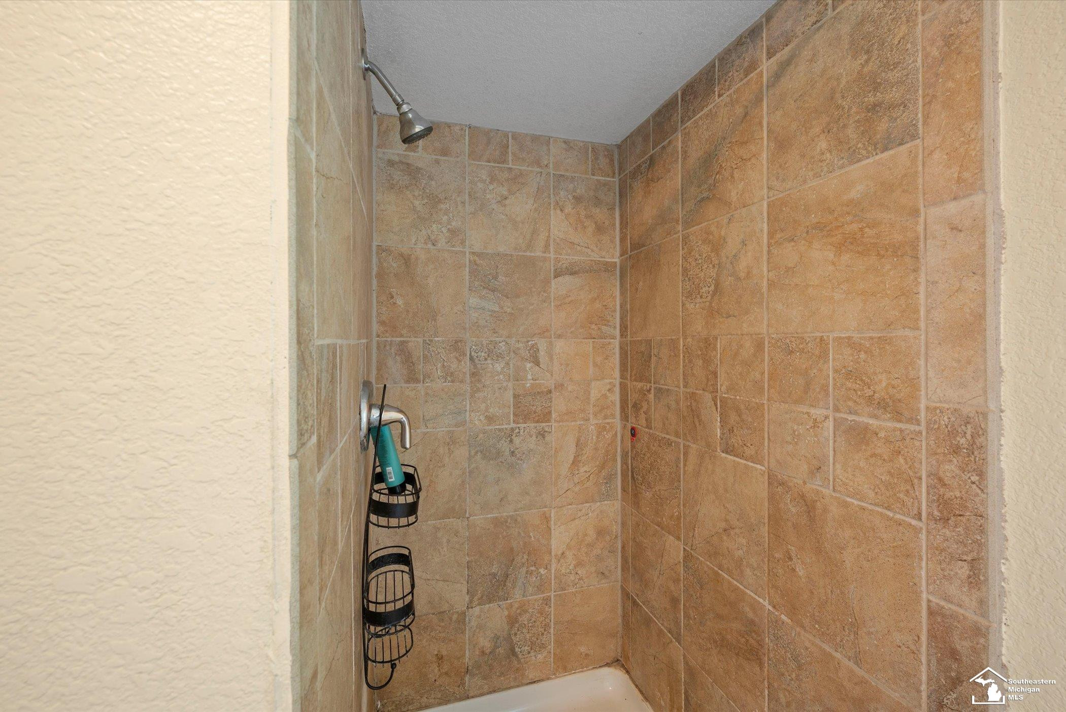 137 Raisin Street, Deerfield, MI 49238 — Photo 13