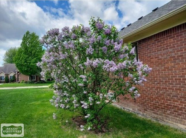 51392 Nicolette Road, MI 48047 — Photo 41