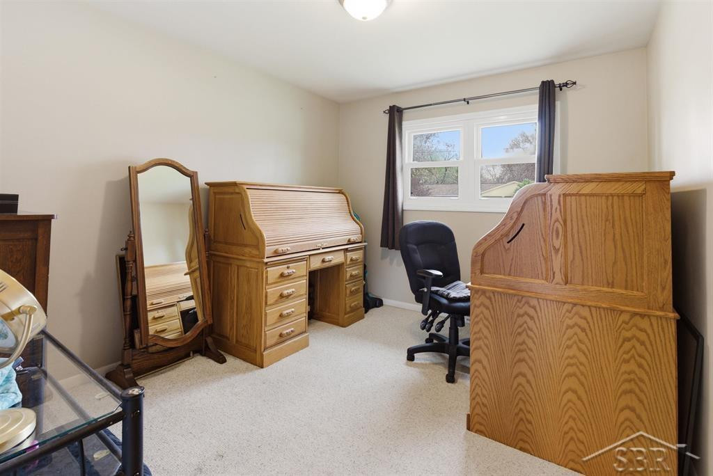 133 Francis Street, Auburn, MI 48611 — Photo 13