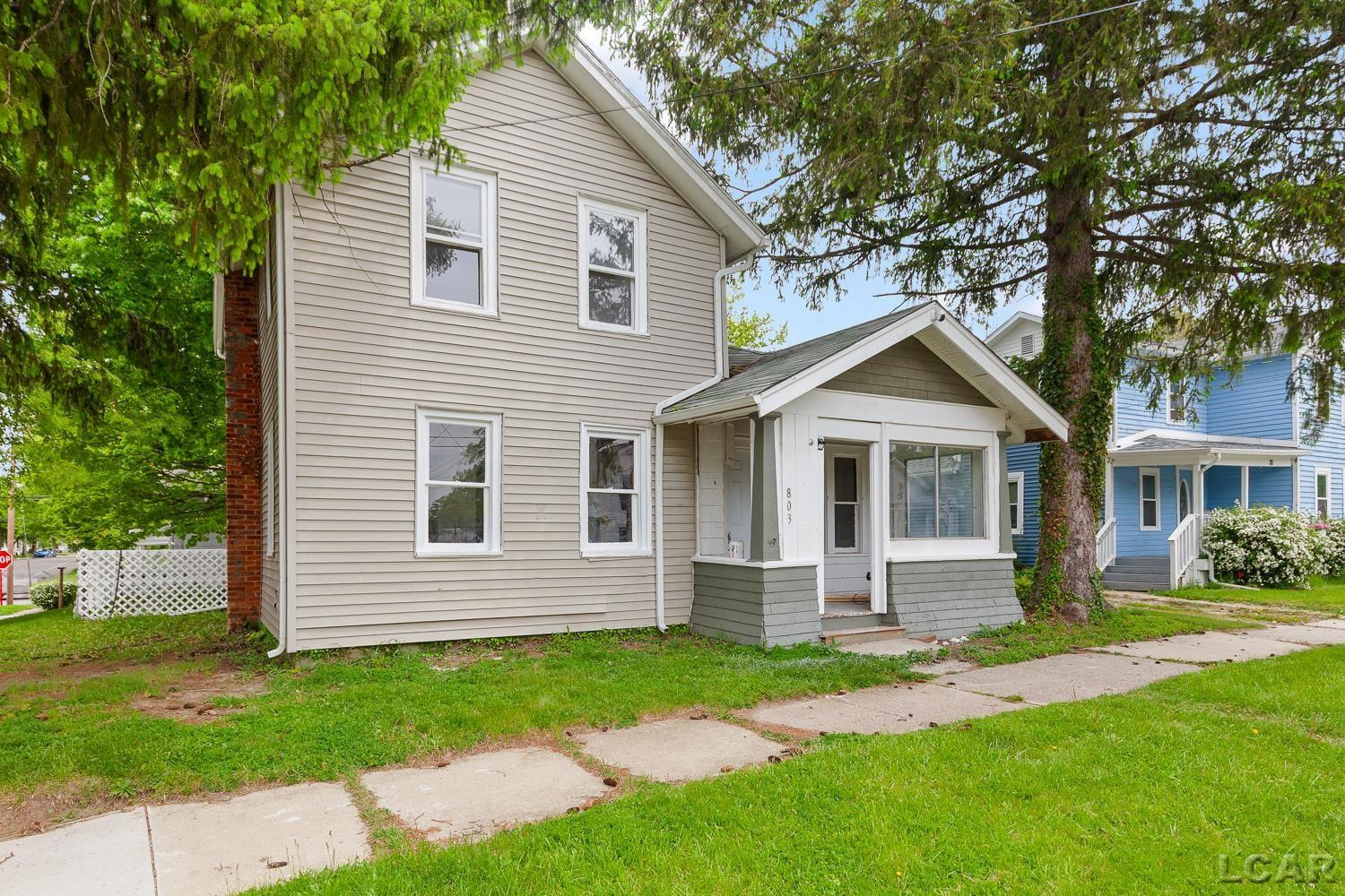 803 E Front Street, Adrian, MI 49221 — Photo 20