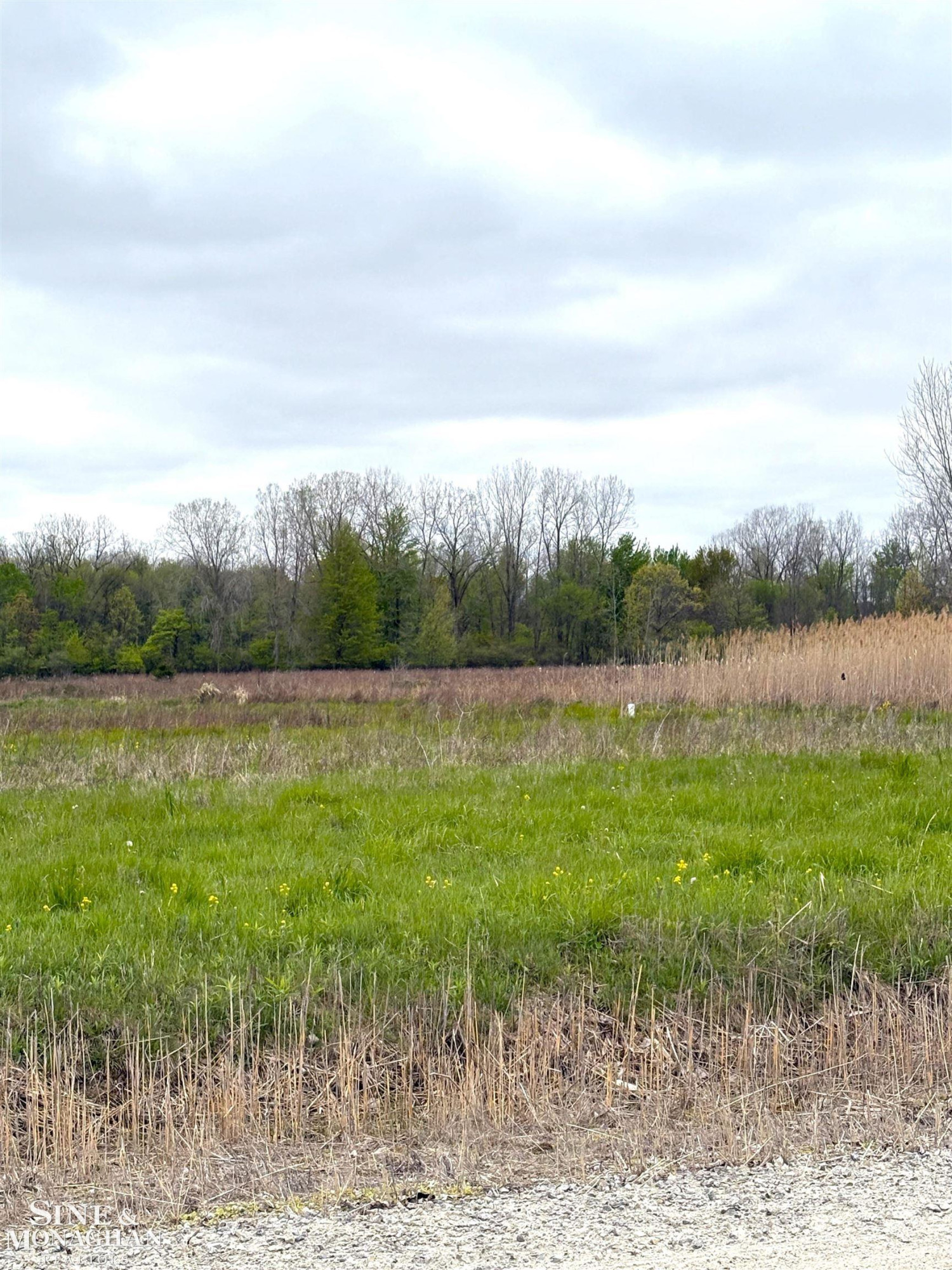 Vacant Hessen Road, MI — Photo 3