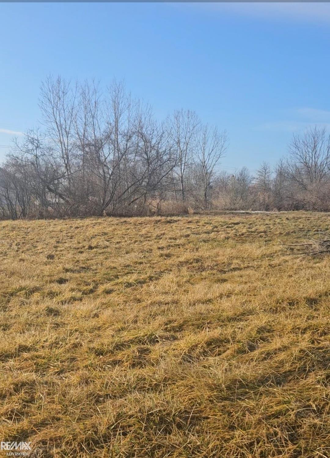5082 palms Road, MI 48064 — Photo 4