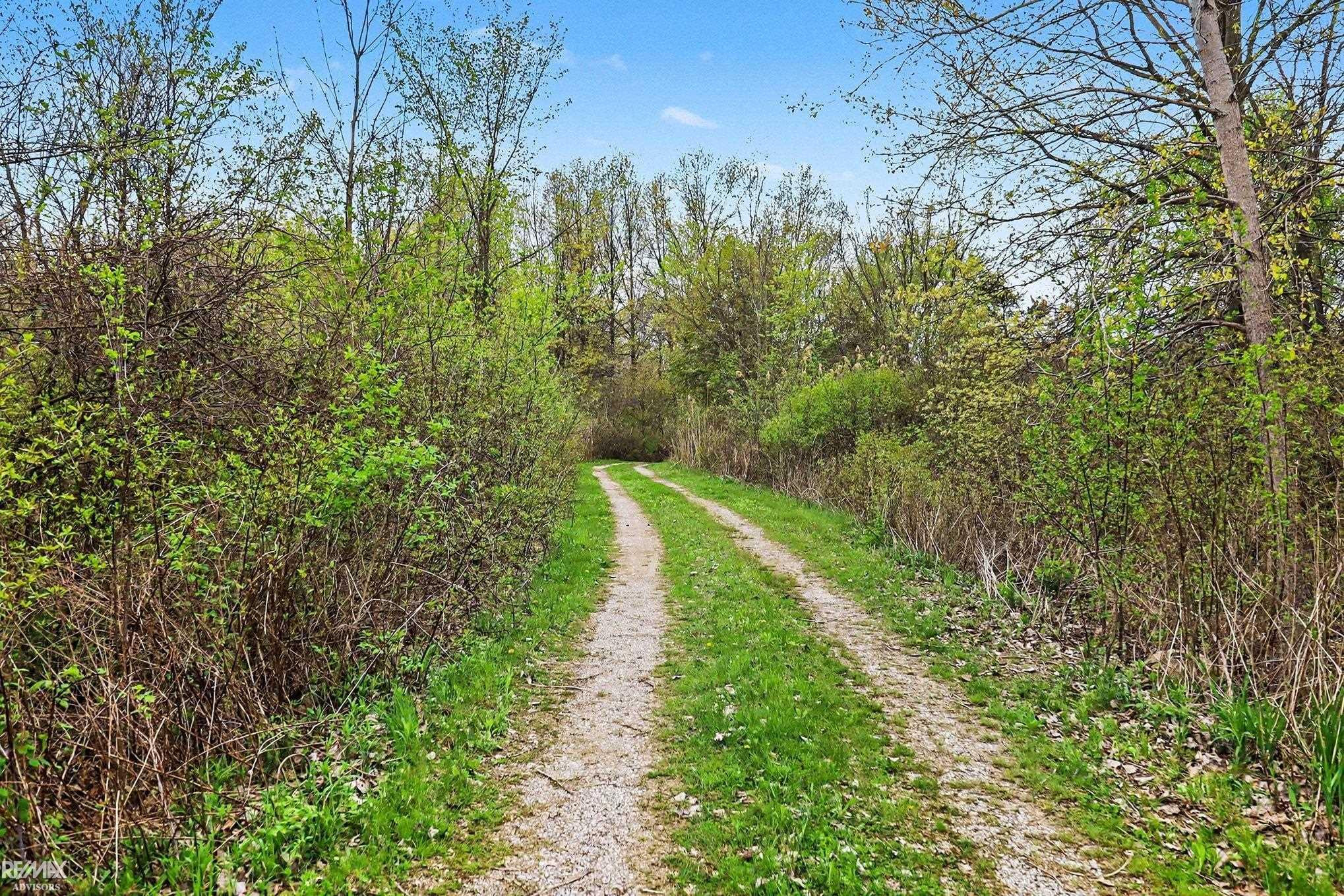 000 Mayer Road, MI — Photo 2