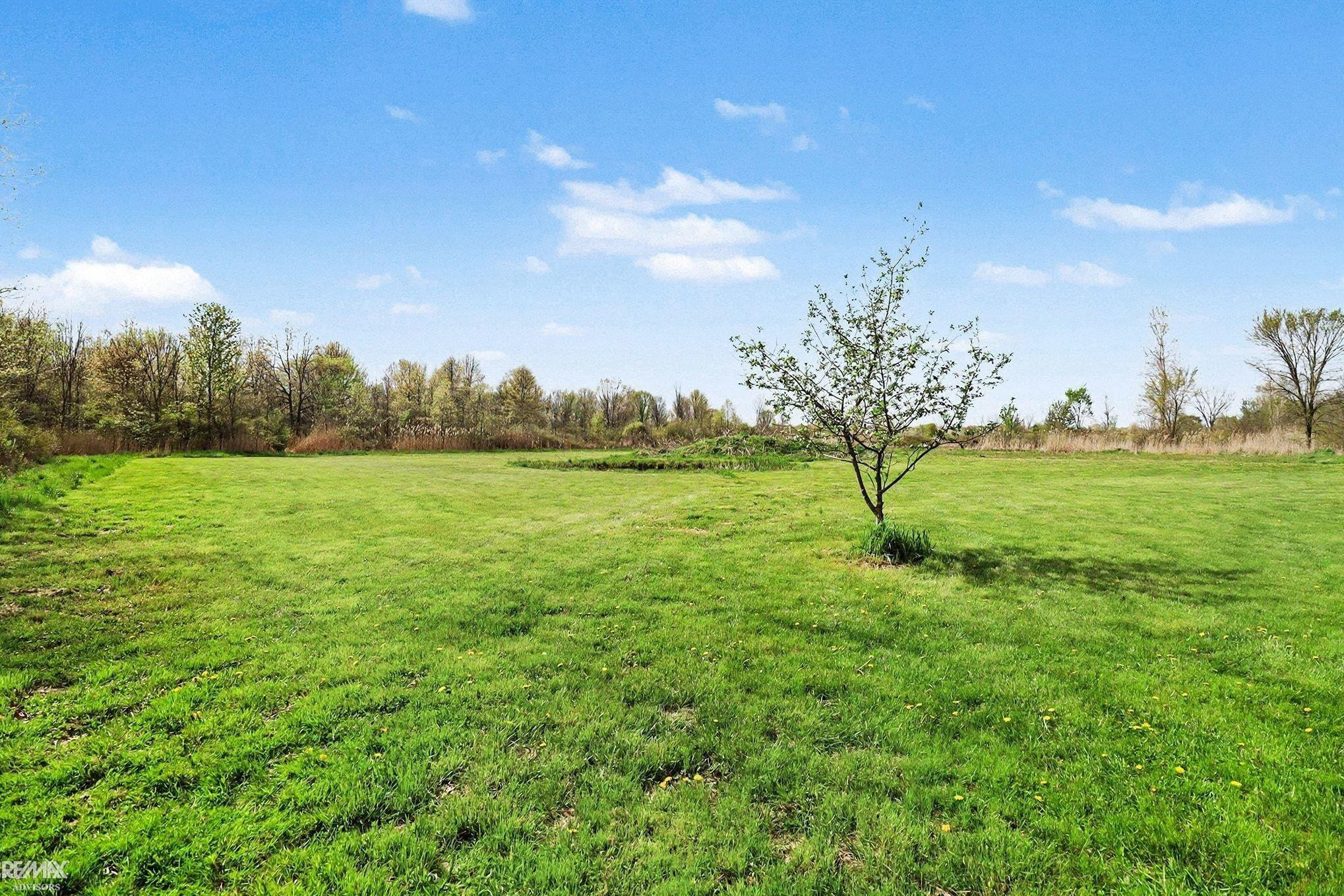 000 Mayer Road, MI — Photo 5