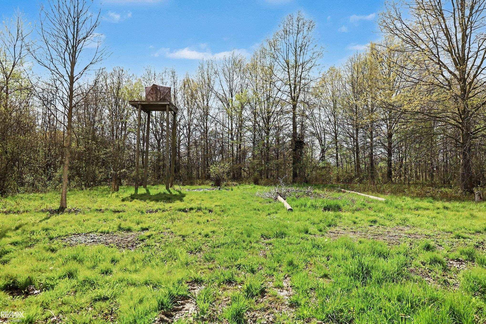 000 Mayer Road, MI — Photo 6