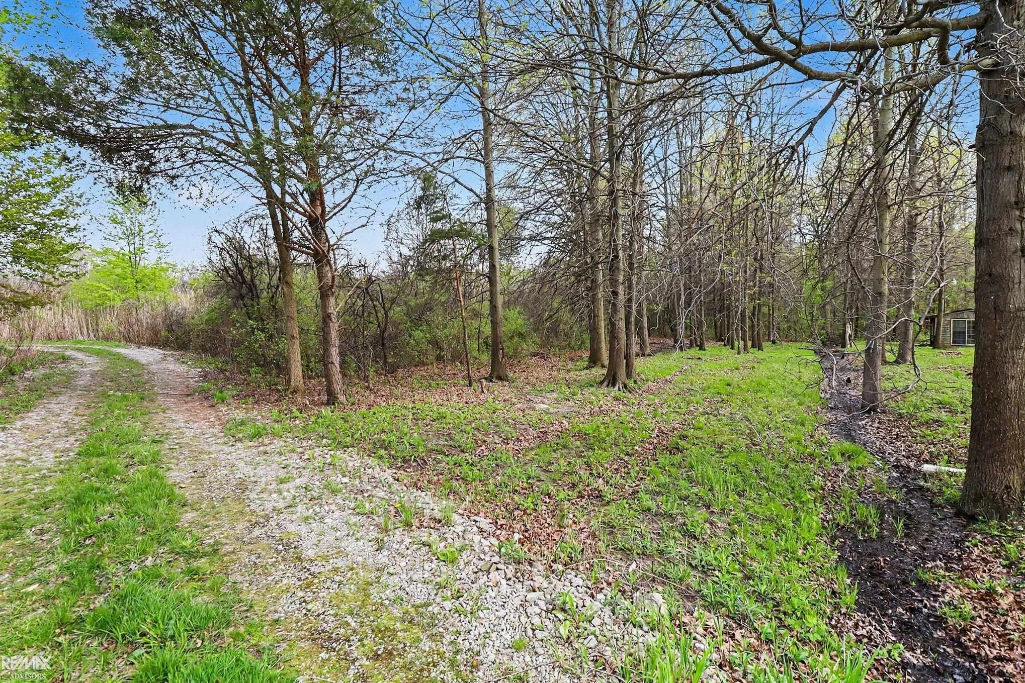 000 Mayer Road, MI — Photo 7