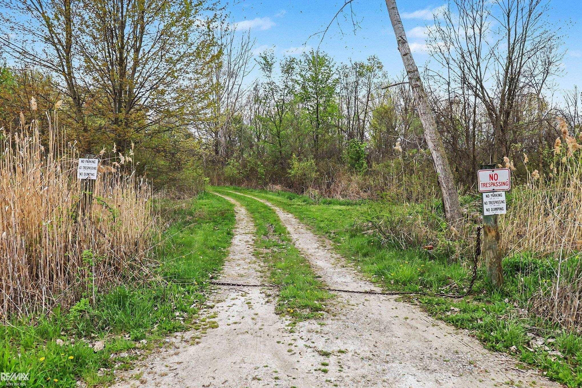 000 Mayer Road, MI — Photo 8