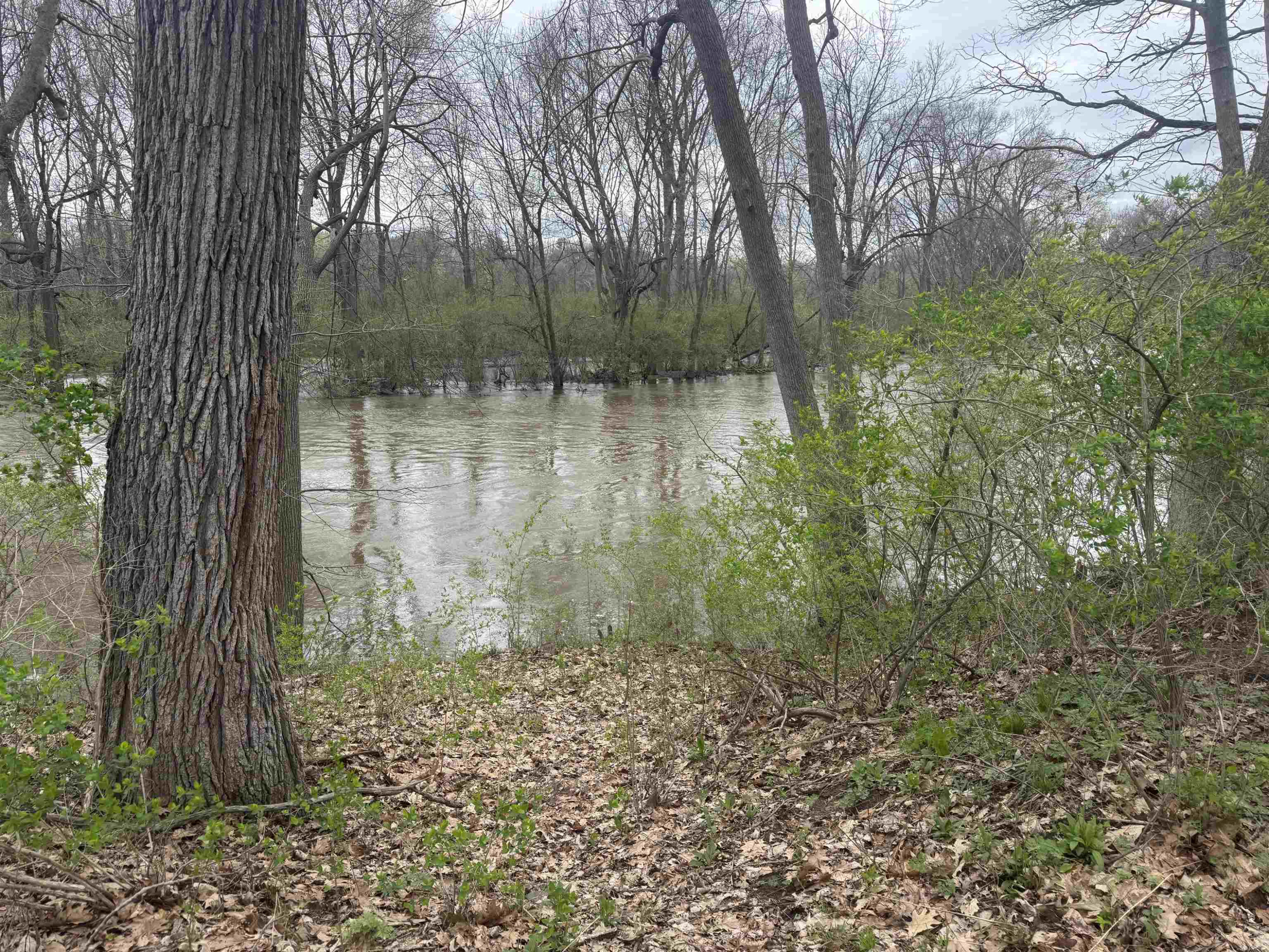 3715 N M-52 Road, Owosso, MI 48867 — Photo 5