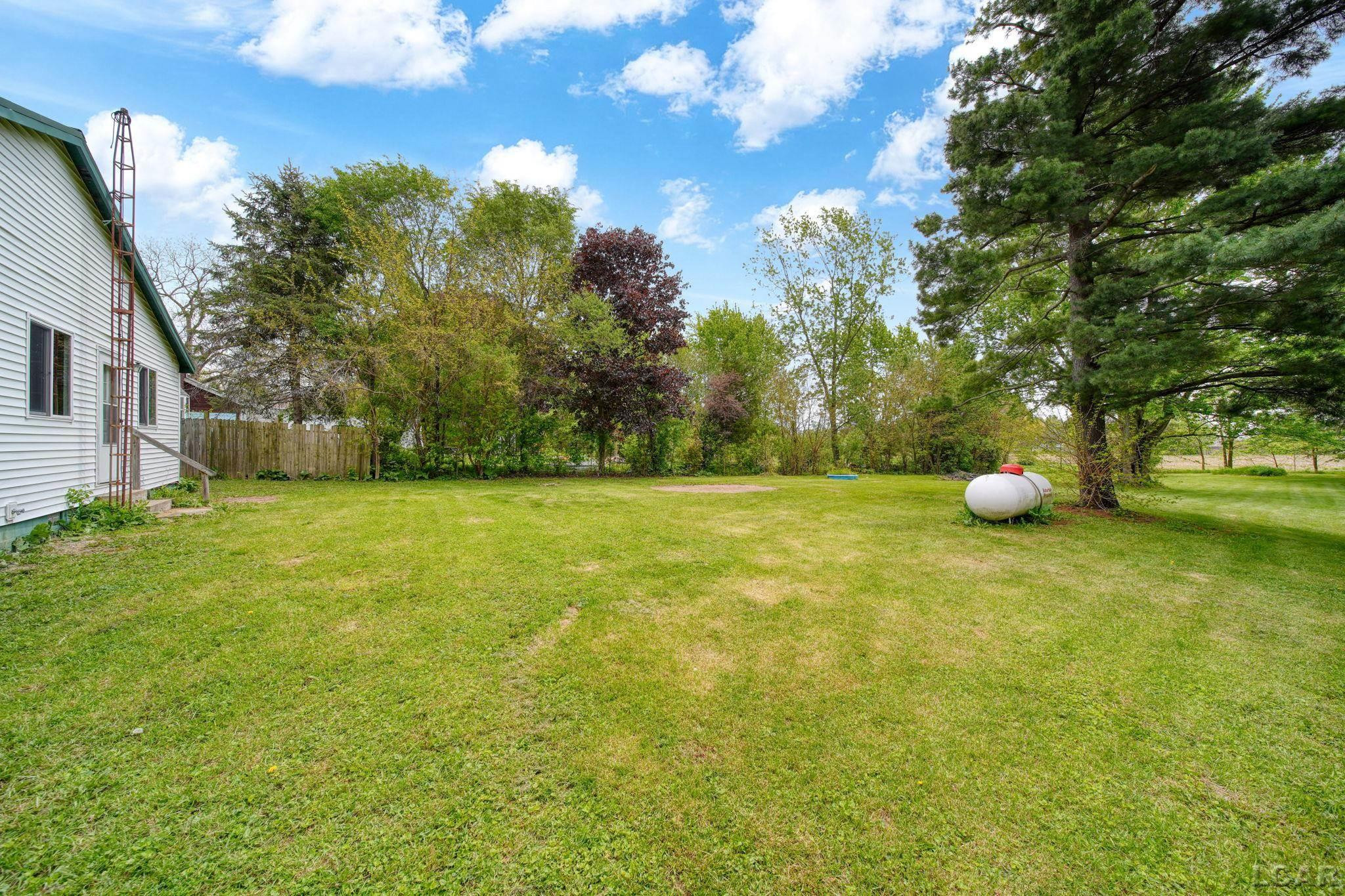 17059 South Street, Hudson, MI 49247 — Photo 23