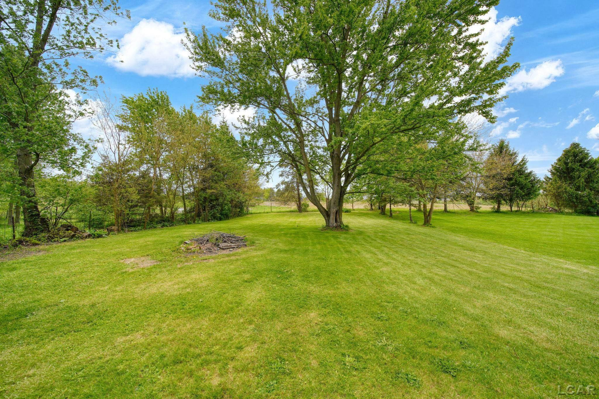 17059 South Street, Hudson, MI 49247 — Photo 27