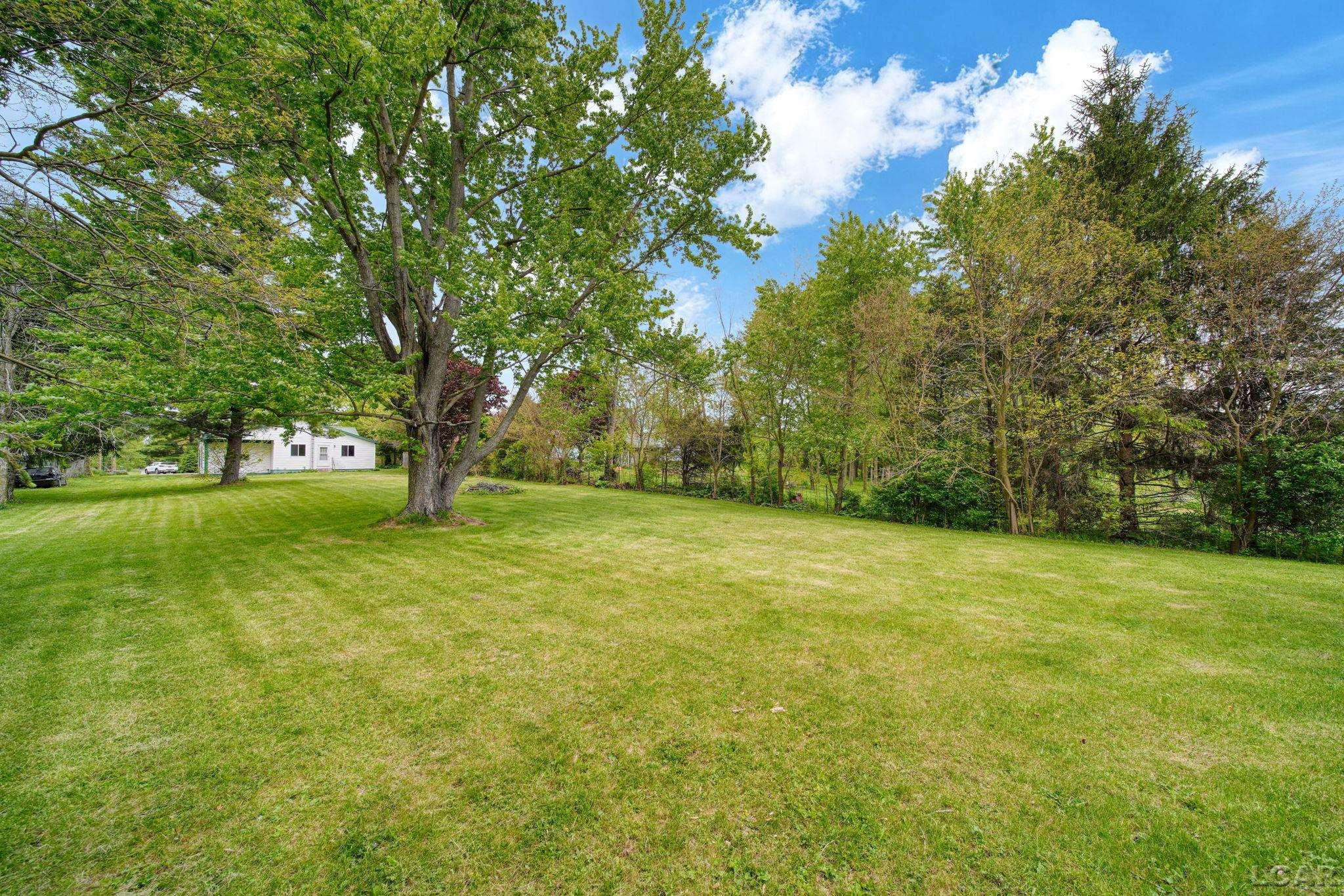 17059 South Street, Hudson, MI 49247 — Photo 28
