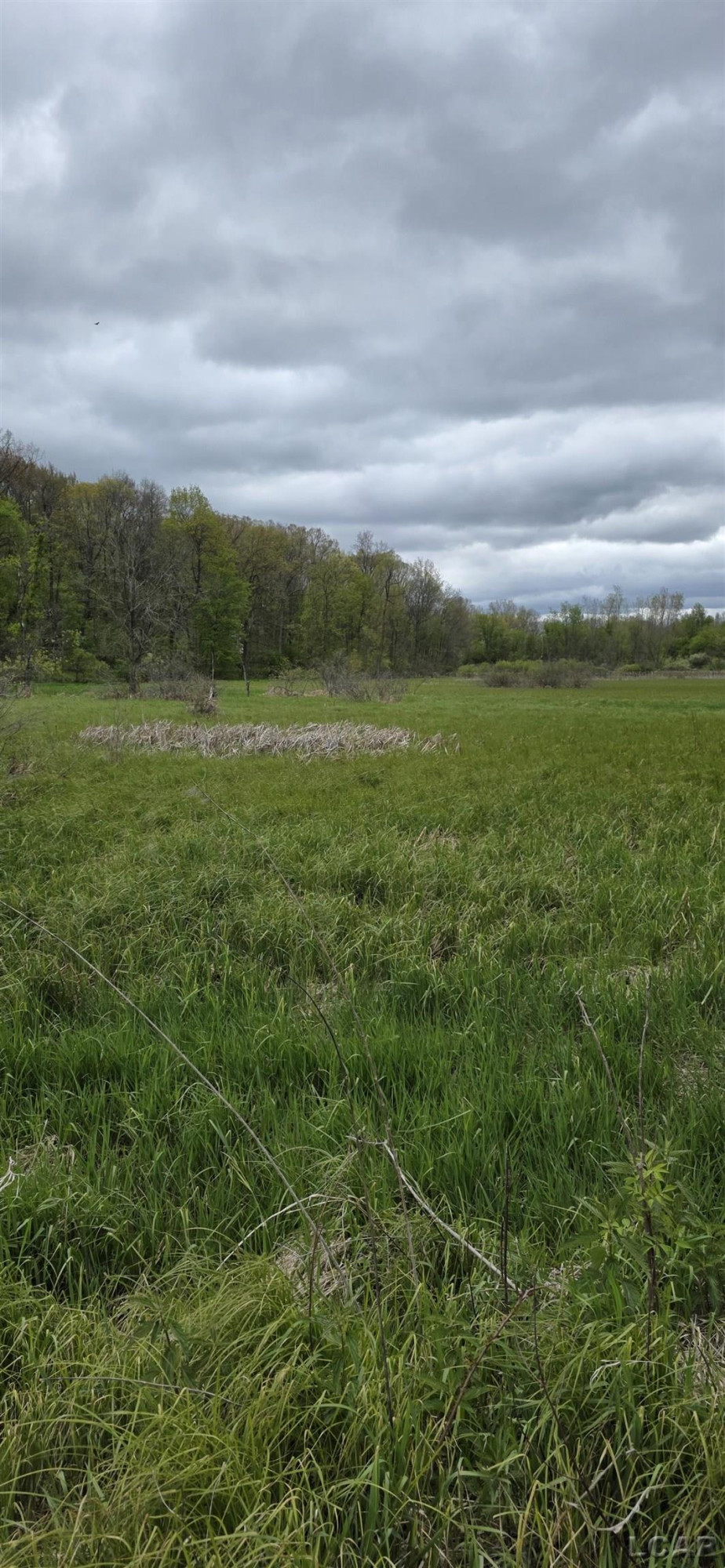 12000 Slee Road, Manitou Beach, MI 49253 — Photo 2
