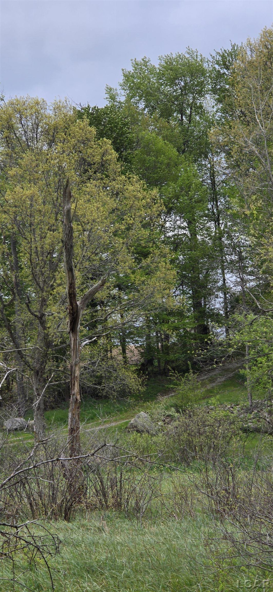 12000 Slee Road, Manitou Beach, MI 49253 — Photo 3