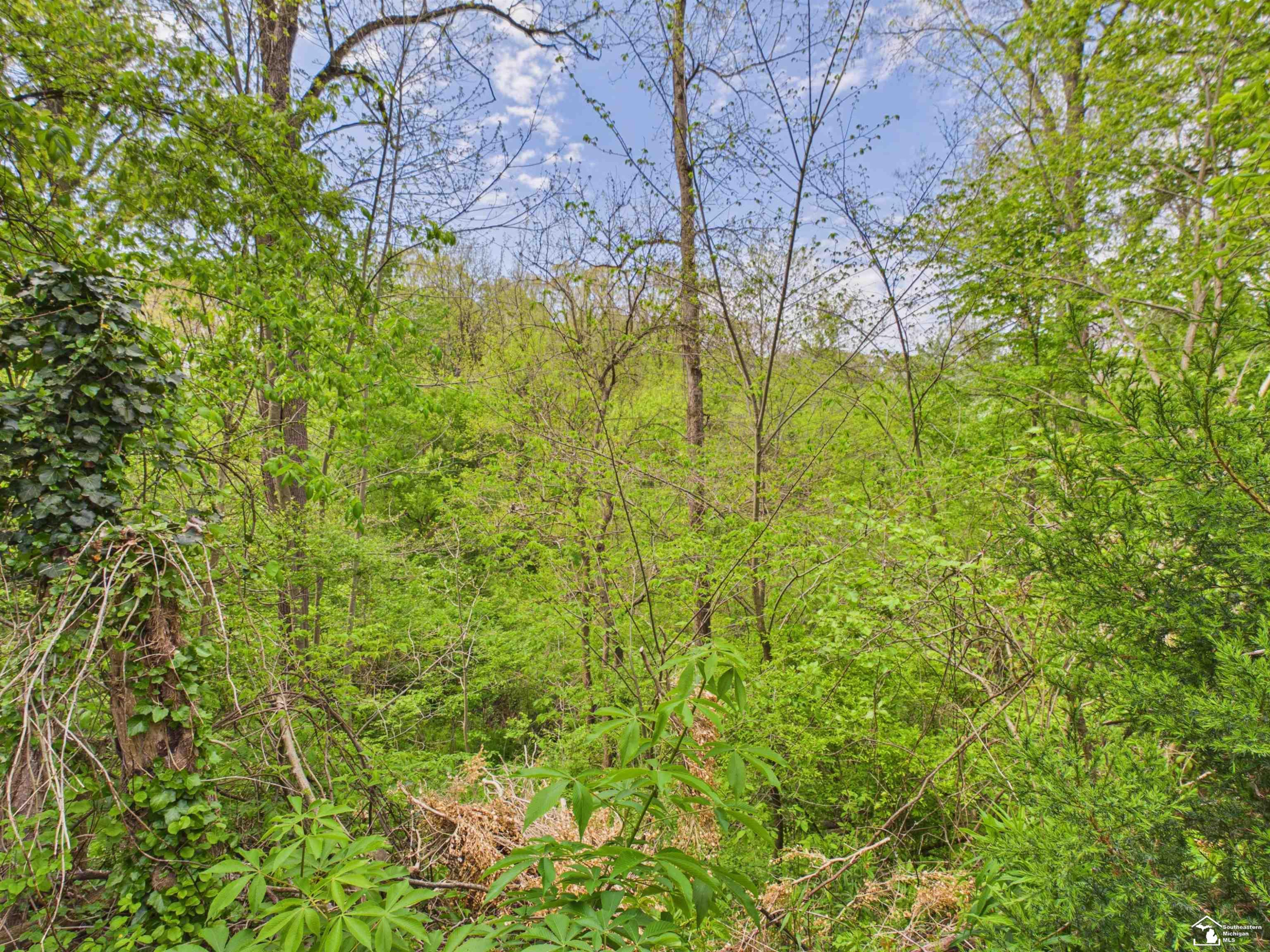 7211 Wildhaven Park Road, Lambertville, MI 48144 — Photo 47