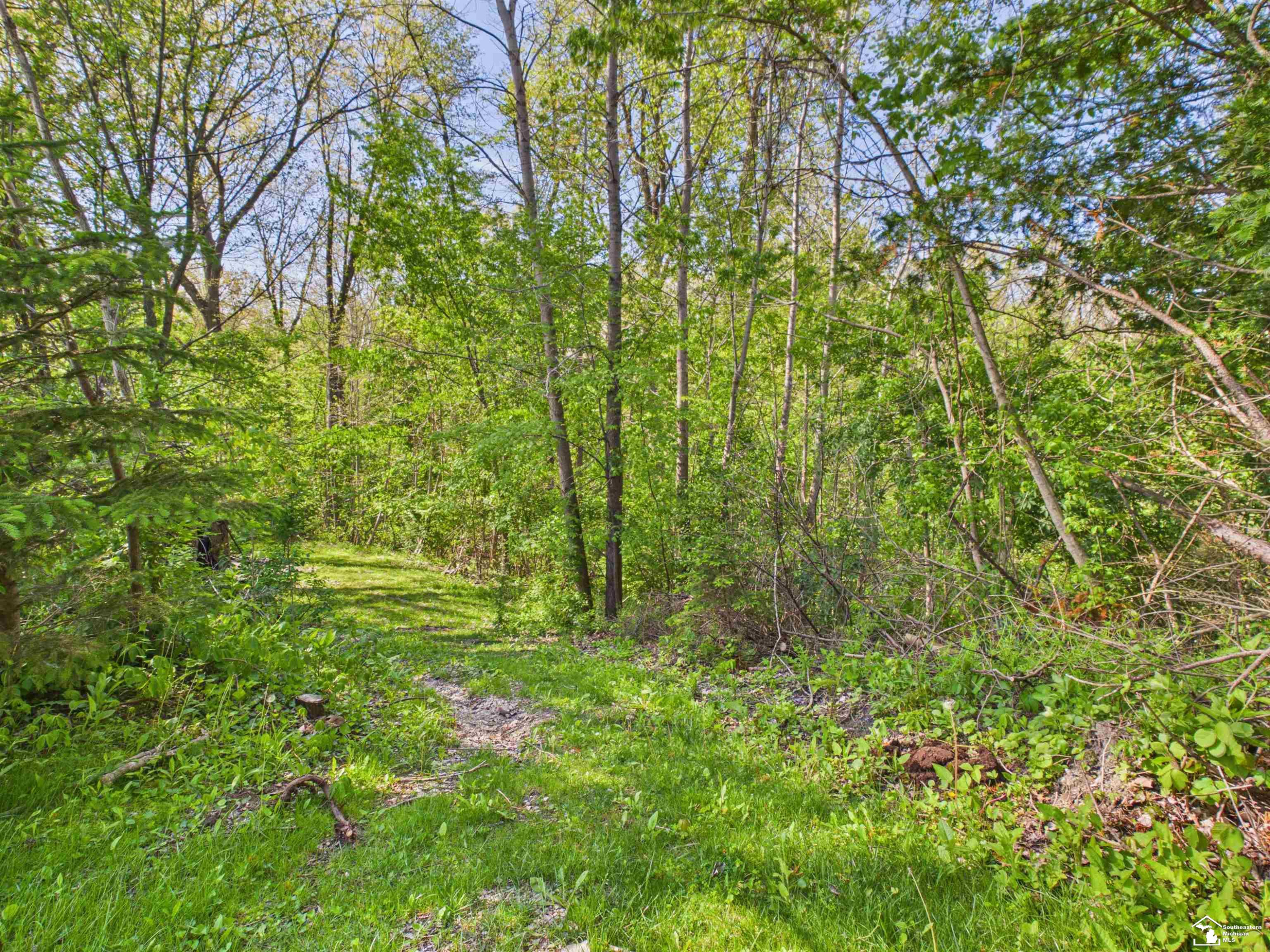 7211 Wildhaven Park Road, Lambertville, MI 48144 — Photo 51