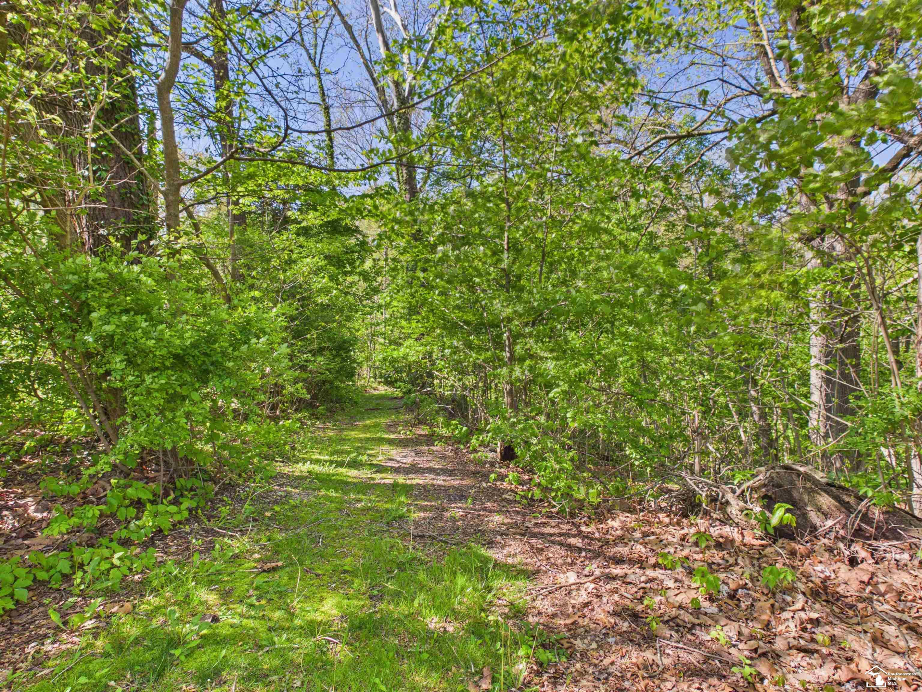 7211 Wildhaven Park Road, Lambertville, MI 48144 — Photo 53