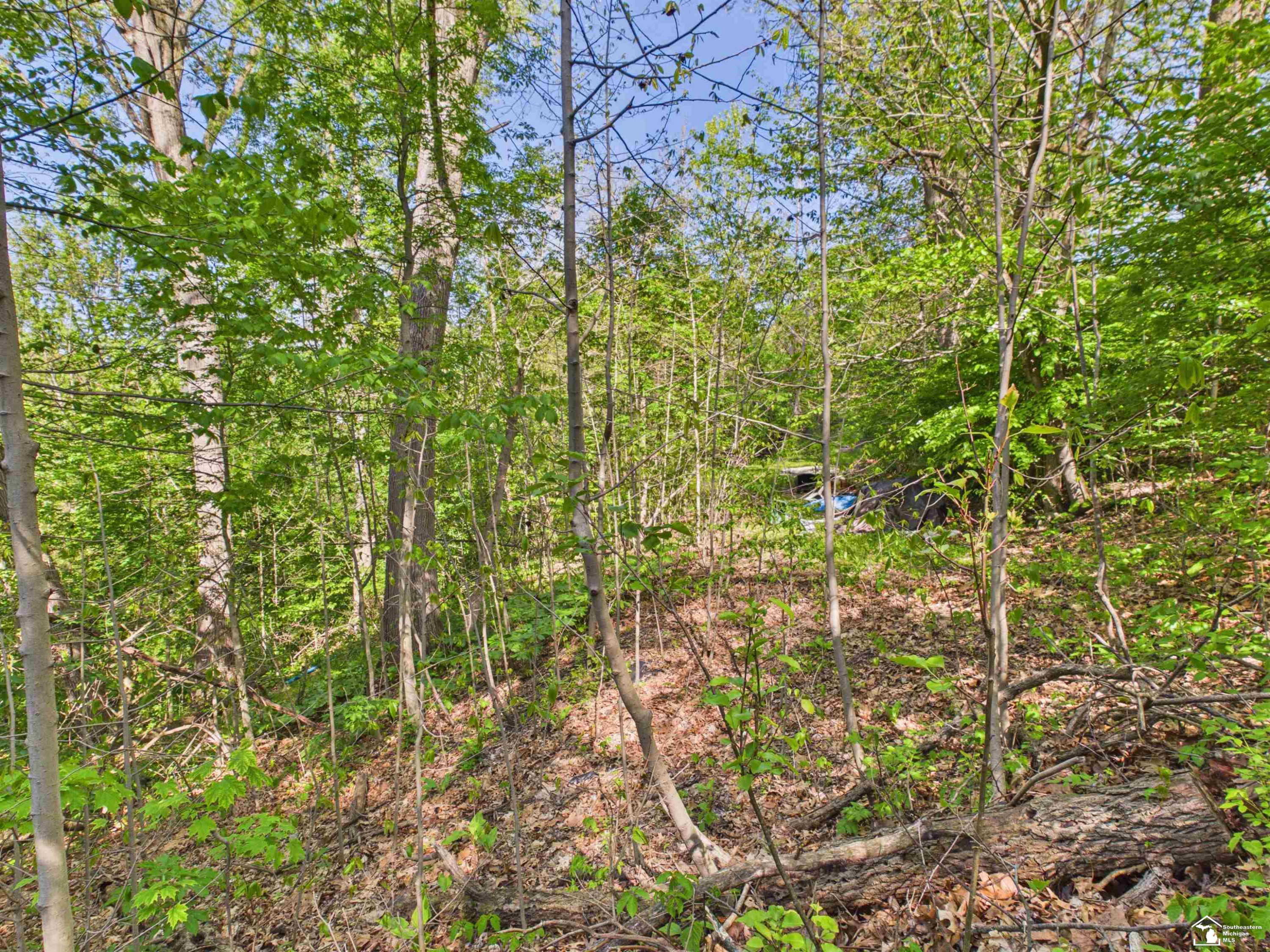 7211 Wildhaven Park Road, Lambertville, MI 48144 — Photo 54