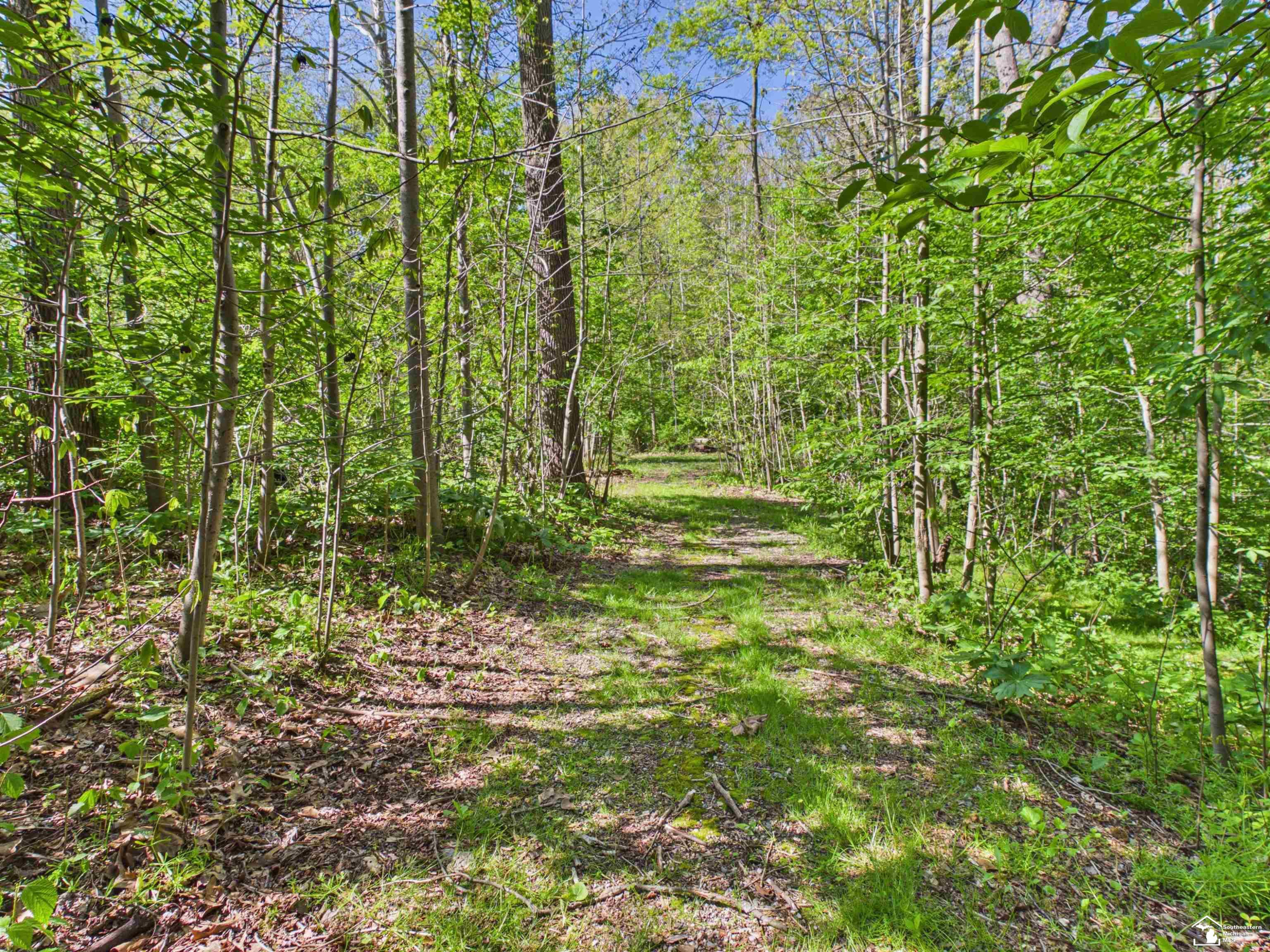 7211 Wildhaven Park Road, Lambertville, MI 48144 — Photo 55